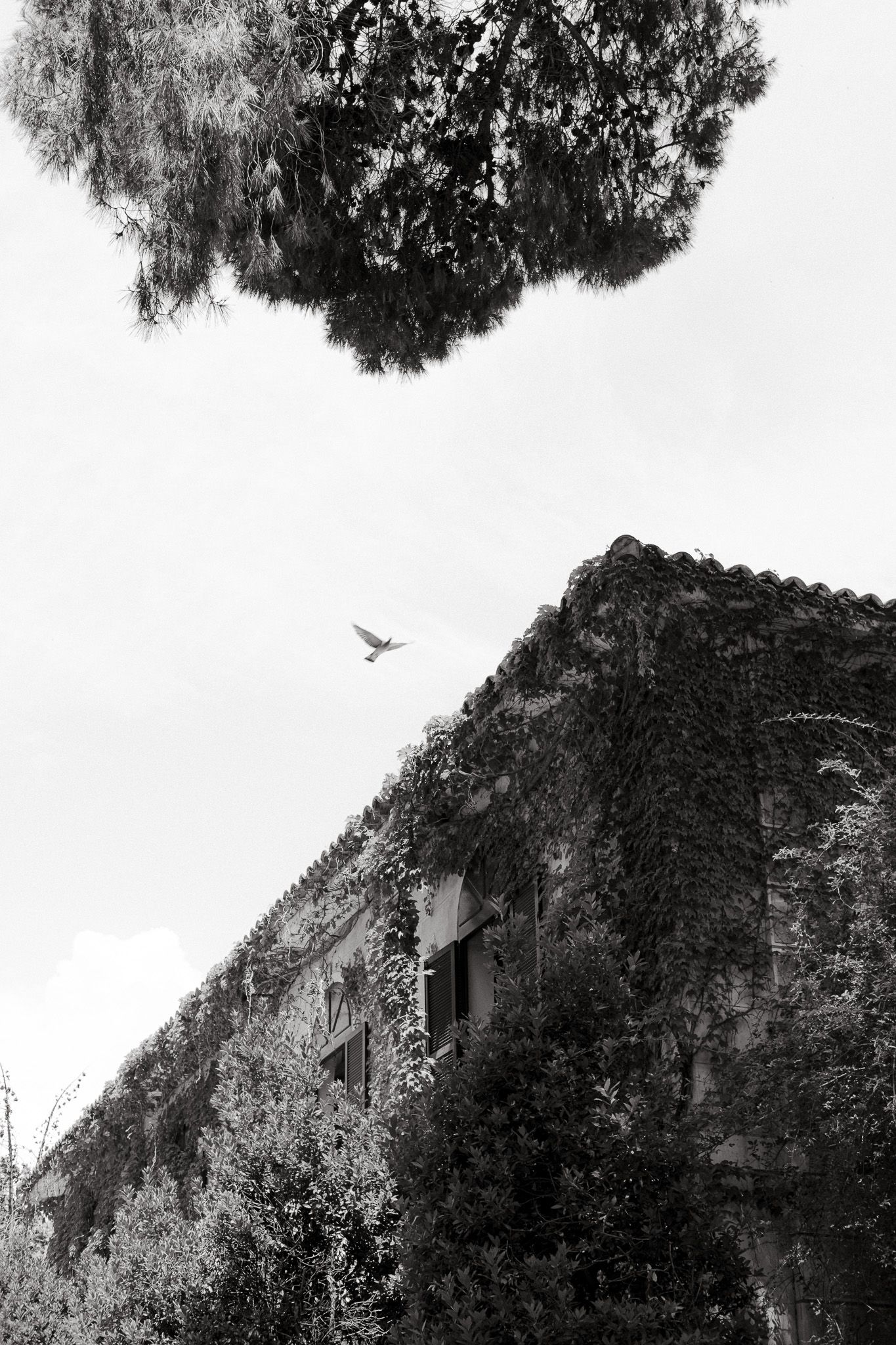 Black and white architectural shot of an old stone building with a bird flying overhead.