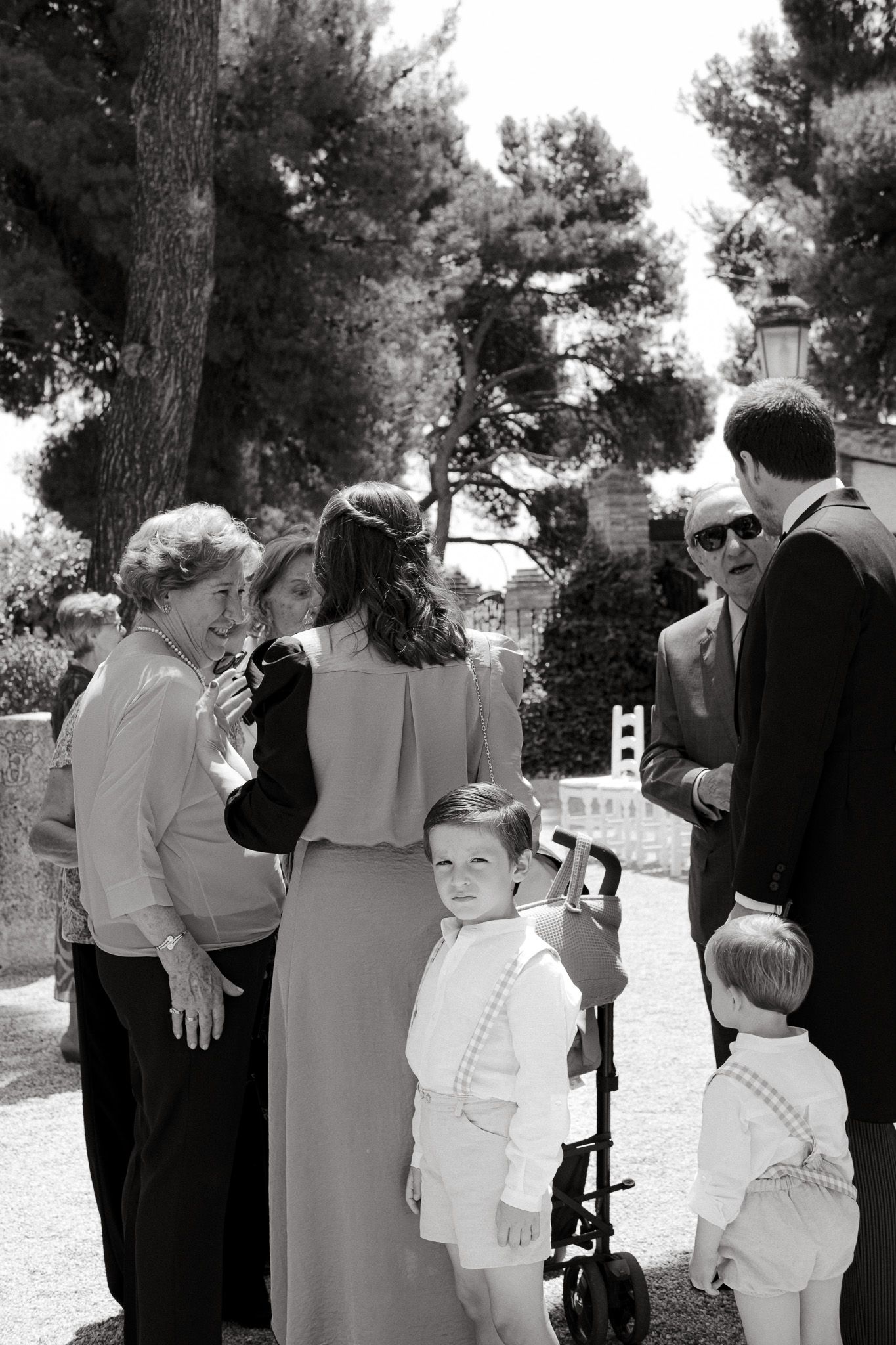 A small gathering of wedding guests conversing outdoors under pine trees.