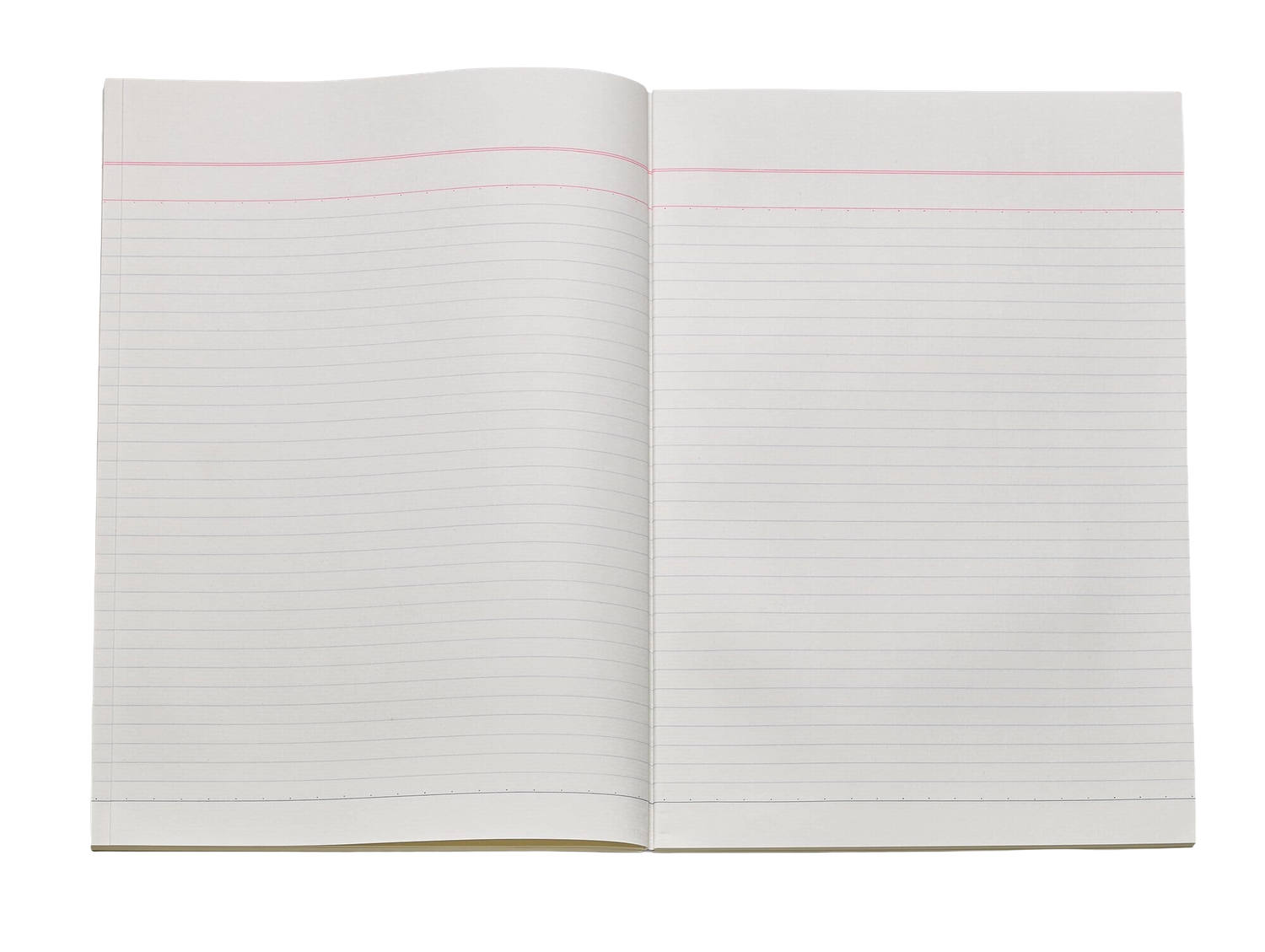 Blank open notebook with lined pages spread out on white background.