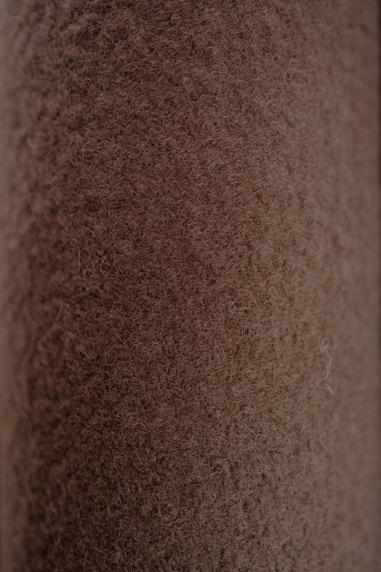 Close-up macro shot of a brown textured surface showing a grainy, speckled pattern.