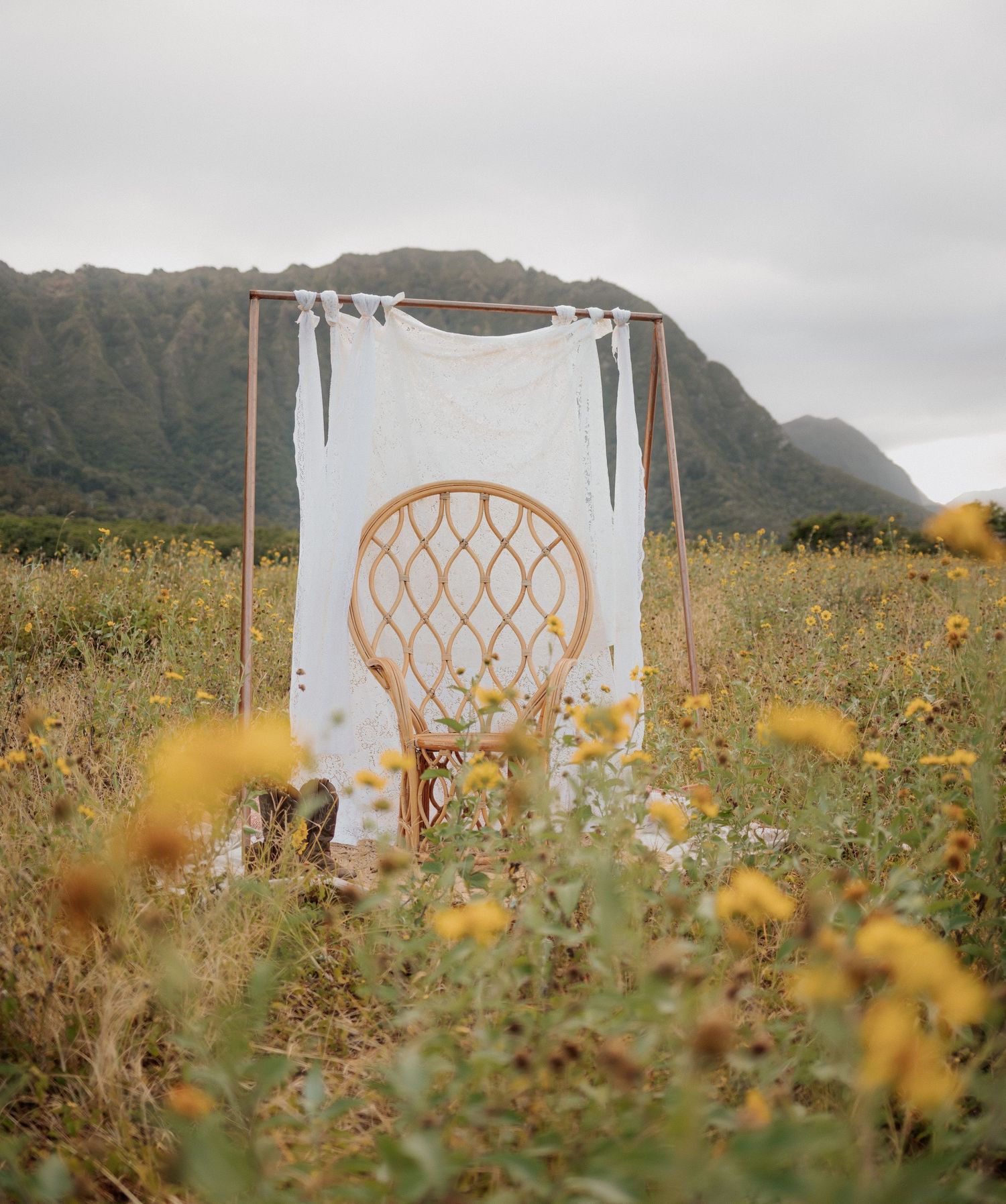 Rattan peacock chair with white drape in wildflower meadow with mountain backdrop.