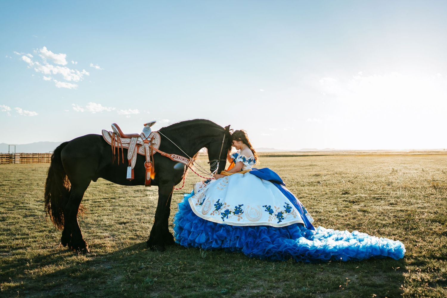 Quinceañera in blue white ruffled gown leaning toward black saddled horse in sunny field.
