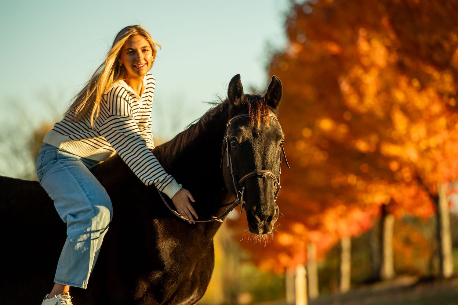Horseback riding scene against fiery orange autumn trees at sunset.
