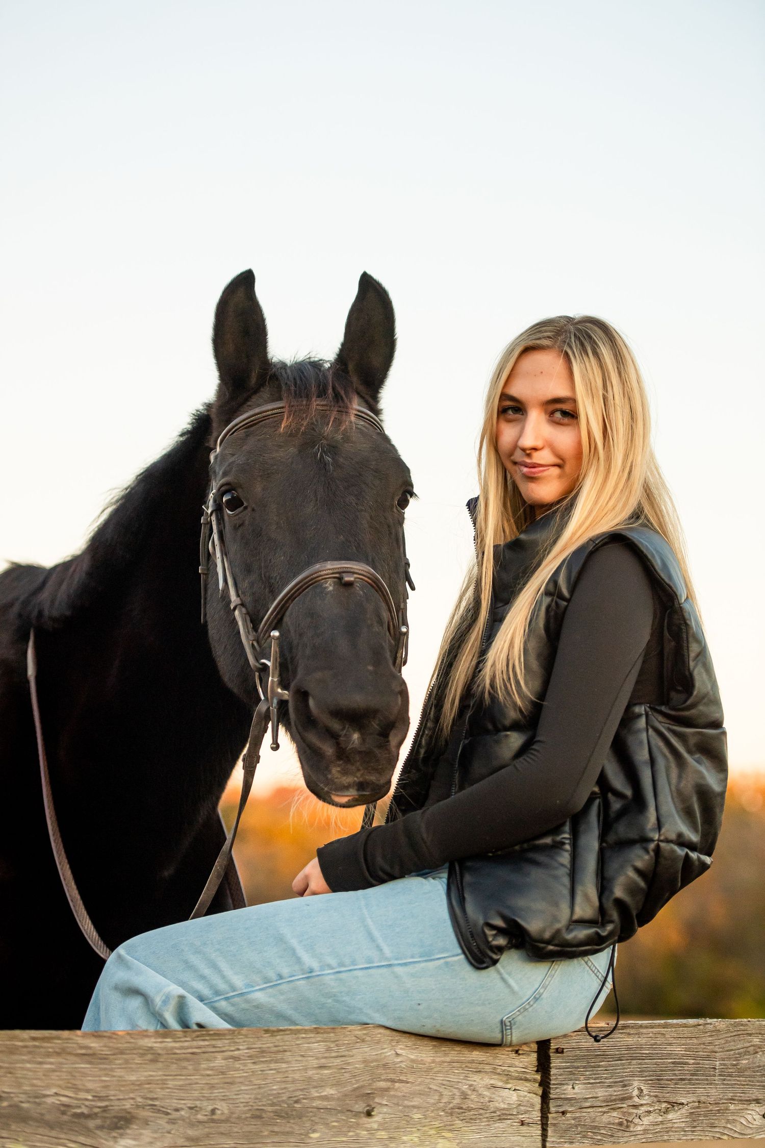 A bonding moment between a black horse and its companion on a wooden fence.