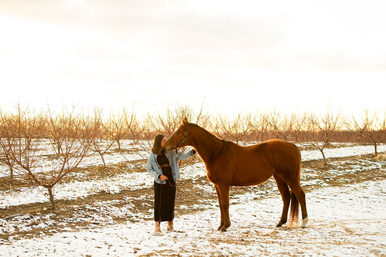 A silhouette of a horse and person against a winter sunset in an open field.
