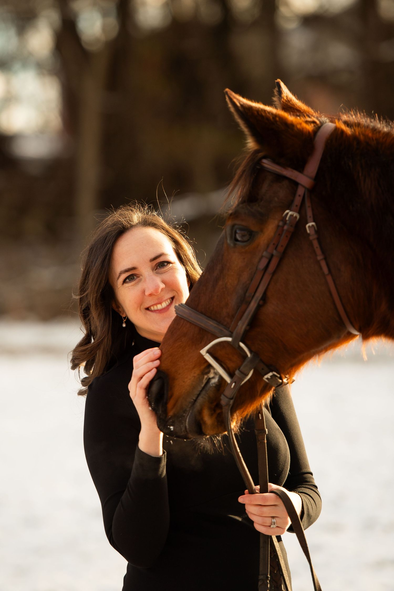 Warm winter portrait of bay horse and companion with sunlit background.