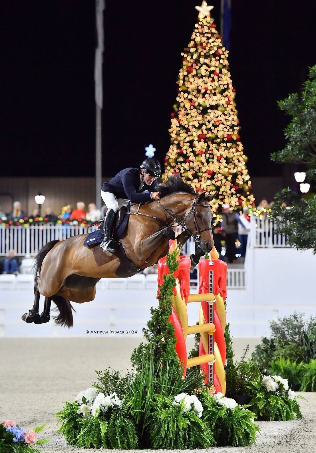 Equestrian jumper clearing a festive holiday obstacle in front of illuminated Christmas tree at night competition.