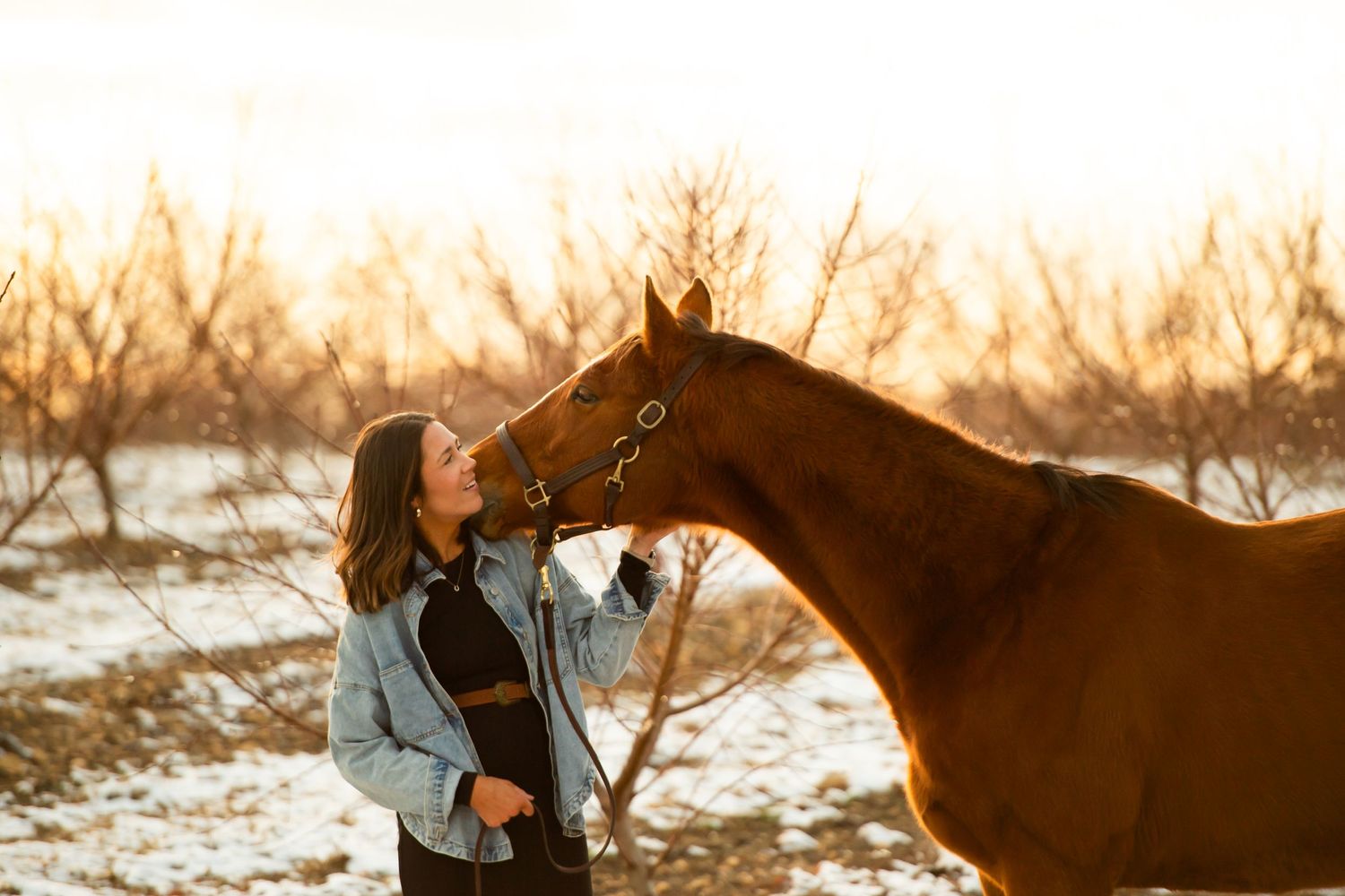 A chestnut horse bends down towards someone in denim during golden hour.