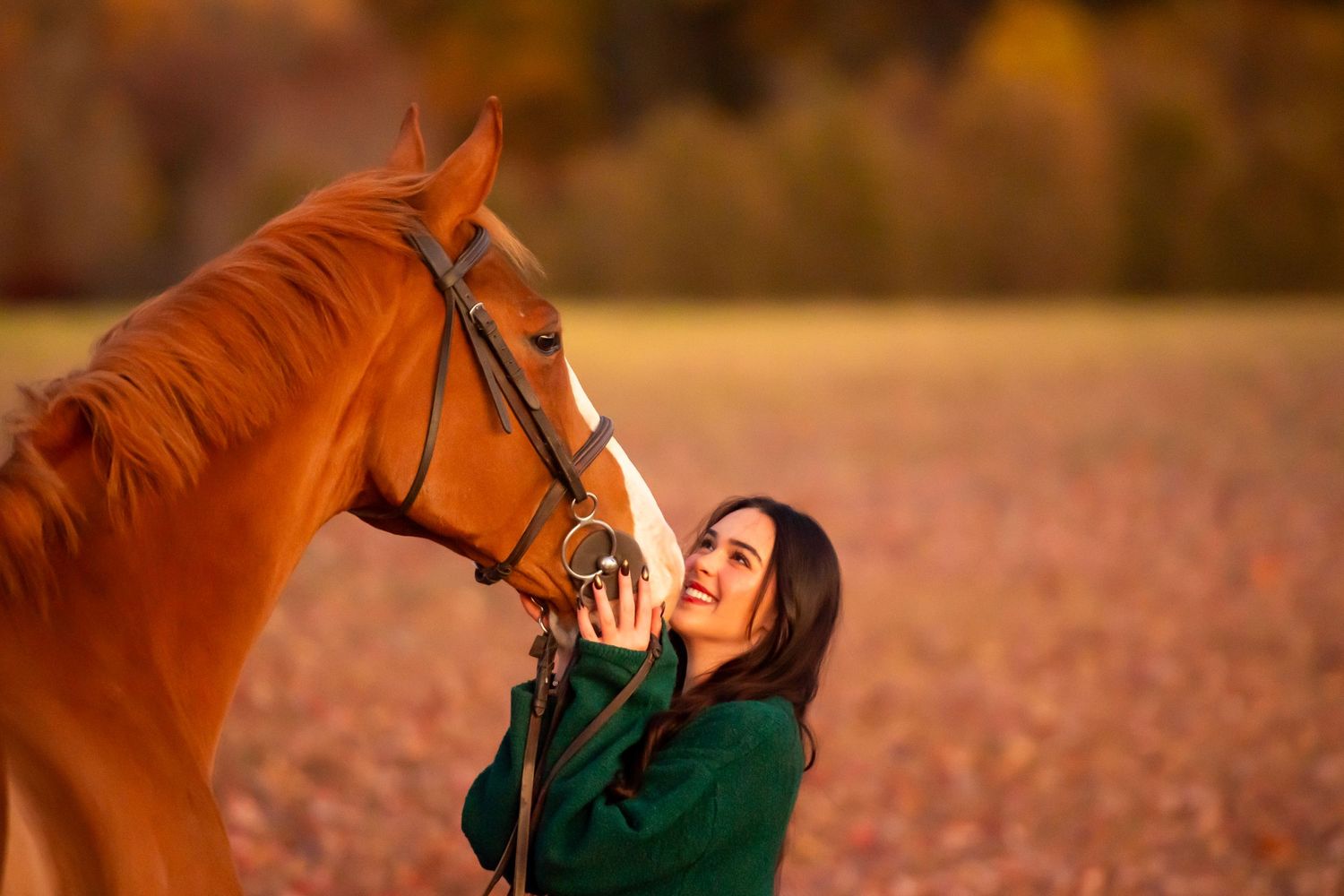 Chestnut horse and person sharing an affectionate moment against autumn background.