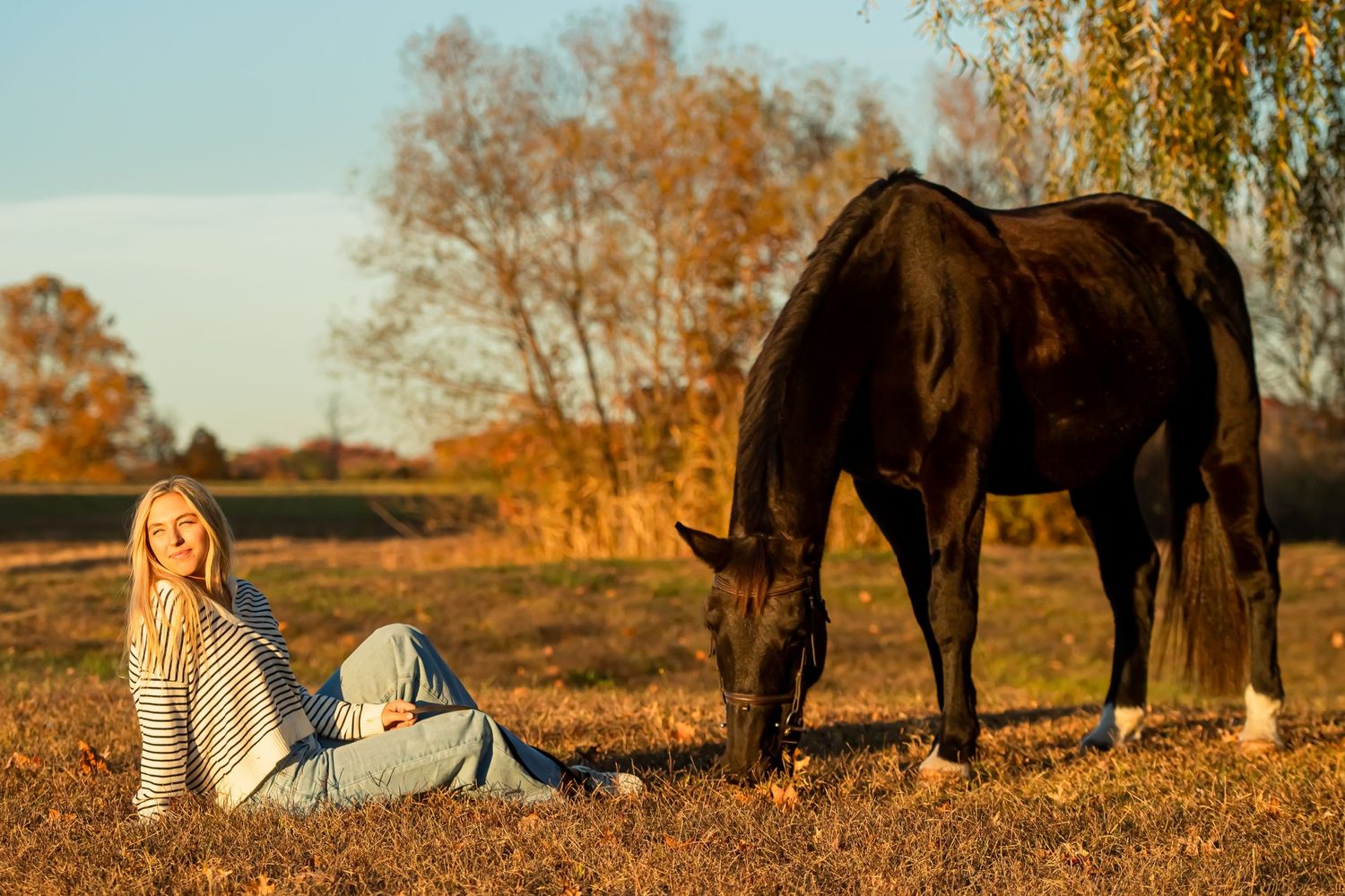 Dark horse grazes in autumn field with companion resting on ground nearby.