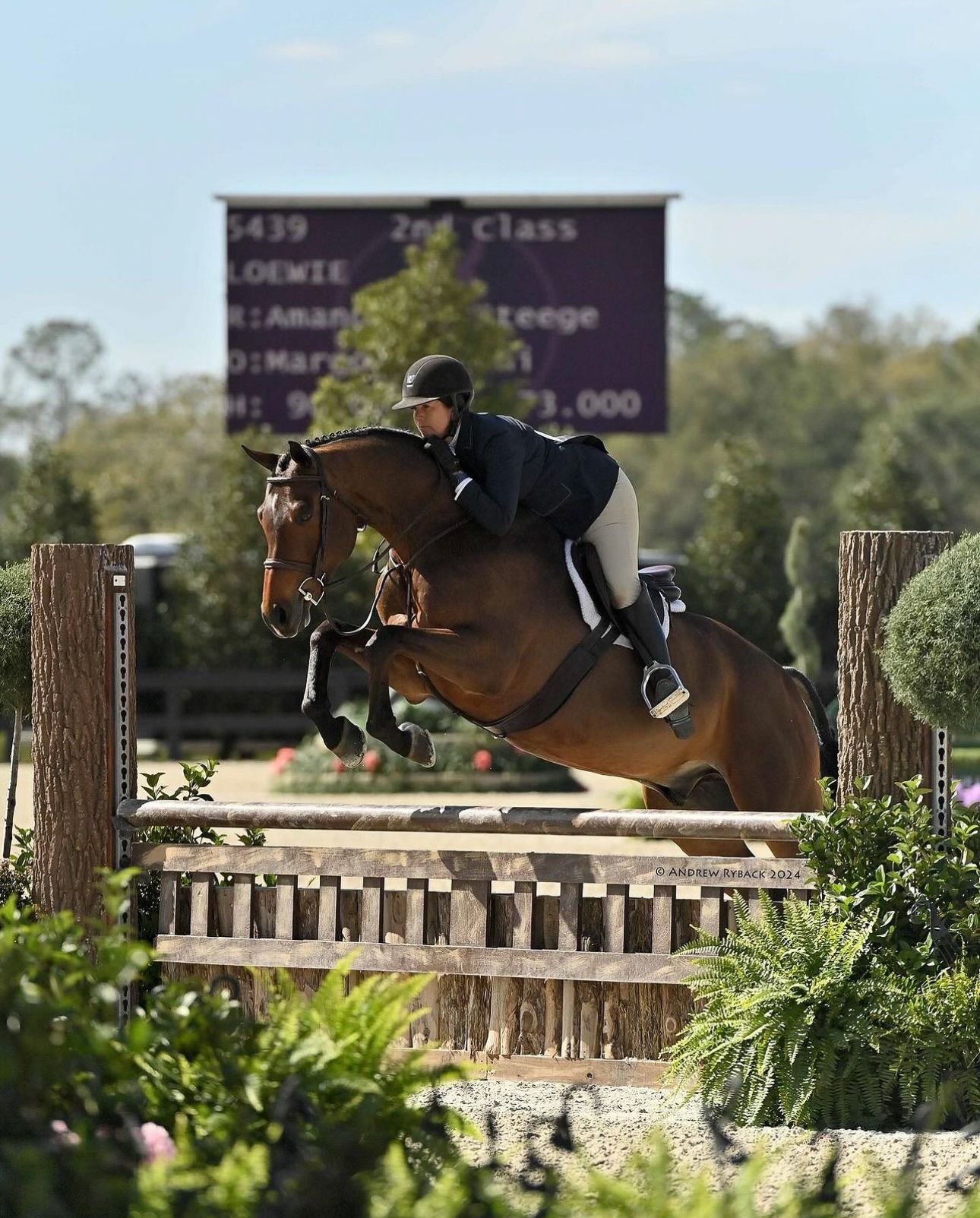 Show jumper clearing a wooden fence with scoring board visible in background.