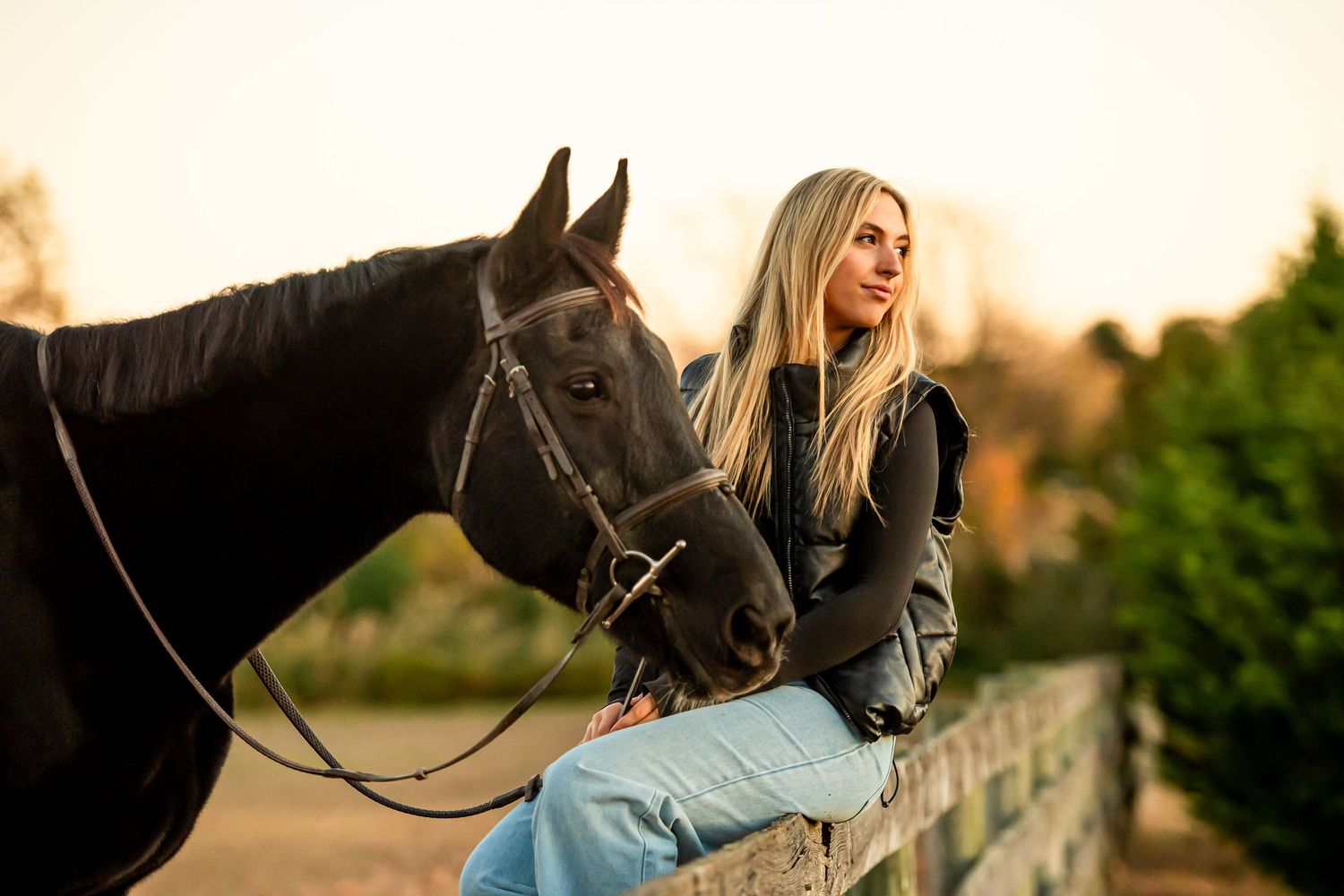 A tender interaction between a dark horse and rider against a soft evening sky.