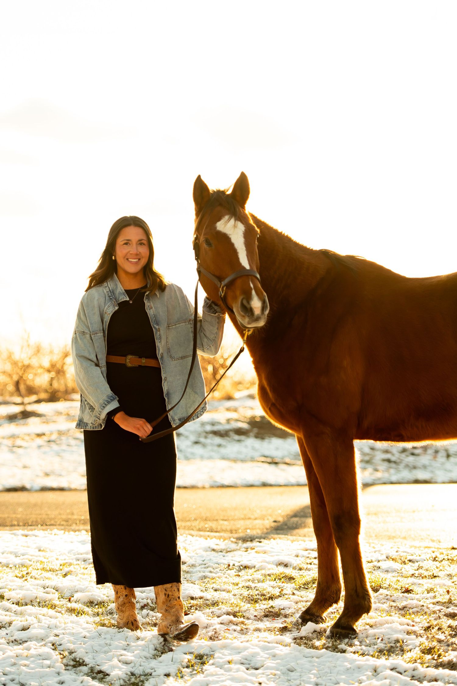 A beautiful chestnut horse poses with someone on a snowy winter day at sunset.