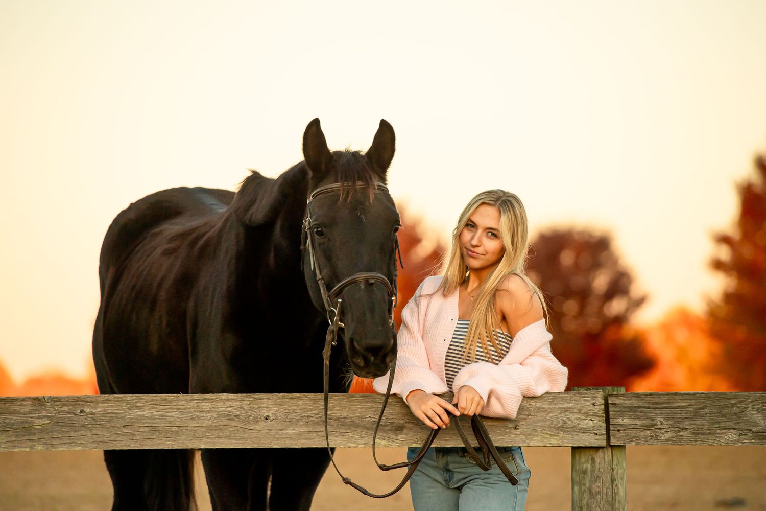 A dark horse and companion stand by a wooden fence at sunset creating a warm autumn scene.