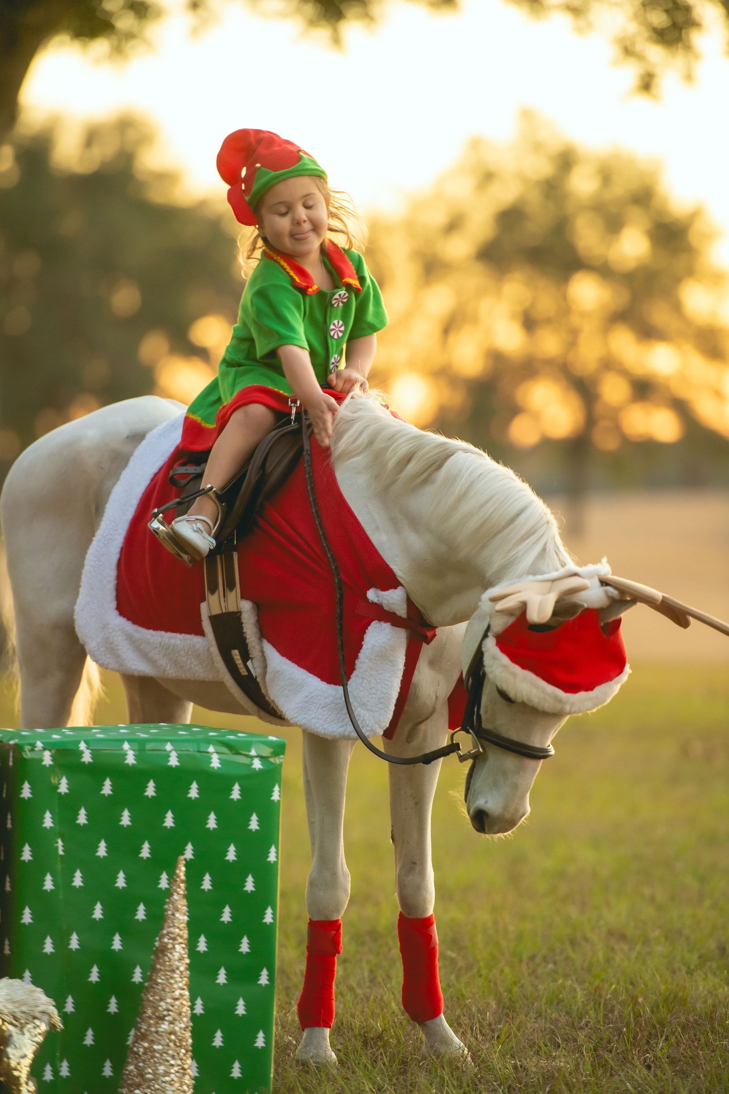 A white horse dressed in Santa costume with holiday decorations and wrapped gifts in a field.