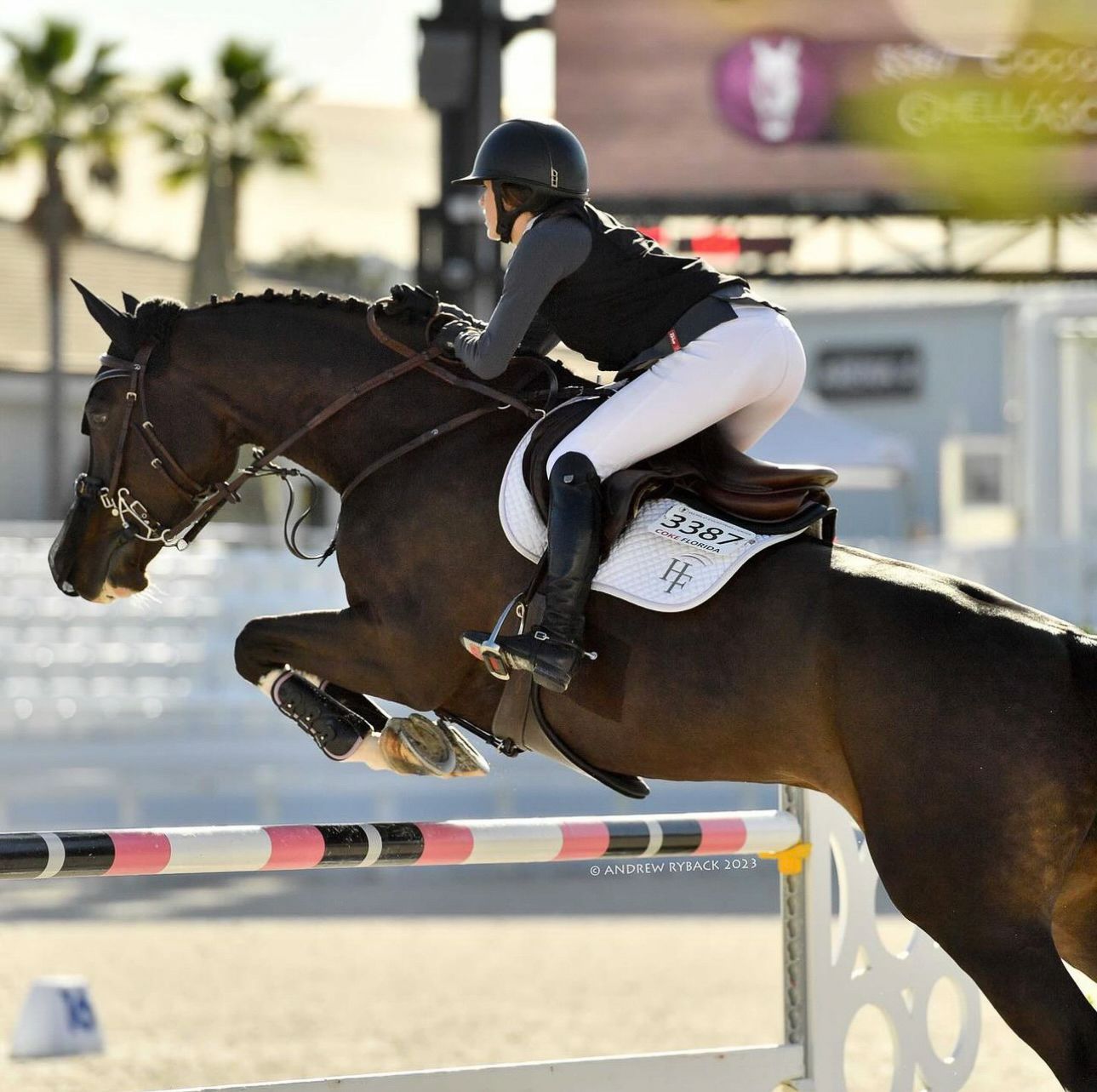 Bay horse and rider clearing striped jump poles during sunset competition.