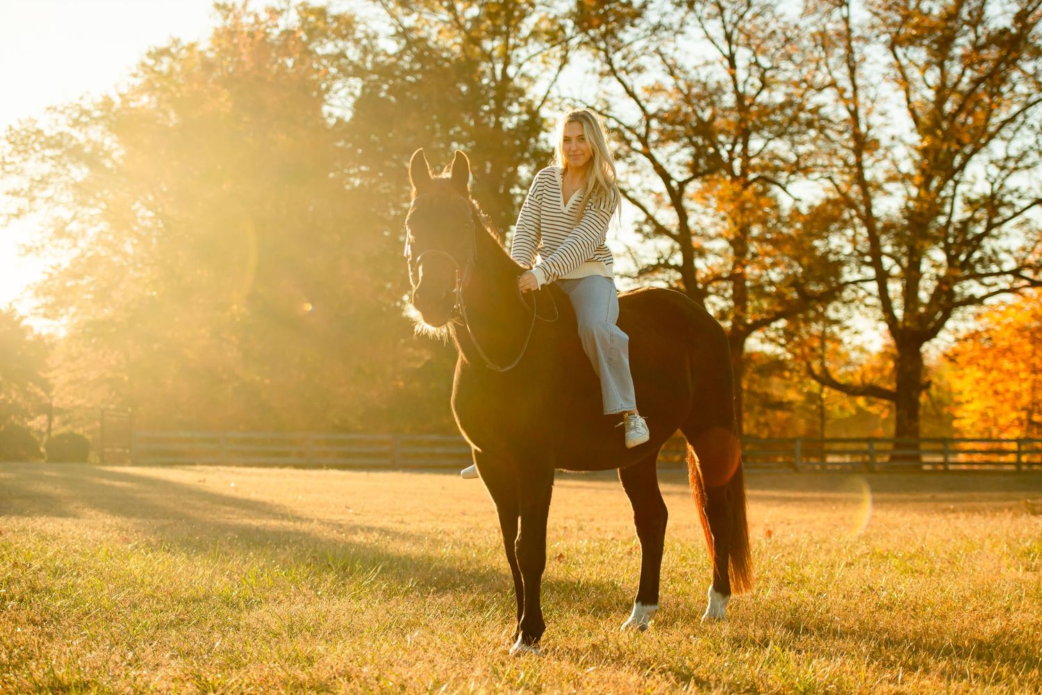 A horse and rider silhouetted against golden sunlight in a fall landscape with colorful trees.