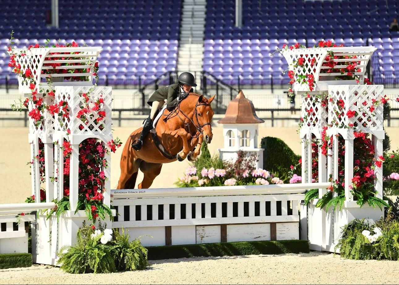 Chestnut horse clearing decorated holiday jump between white pillars in indoor arena.