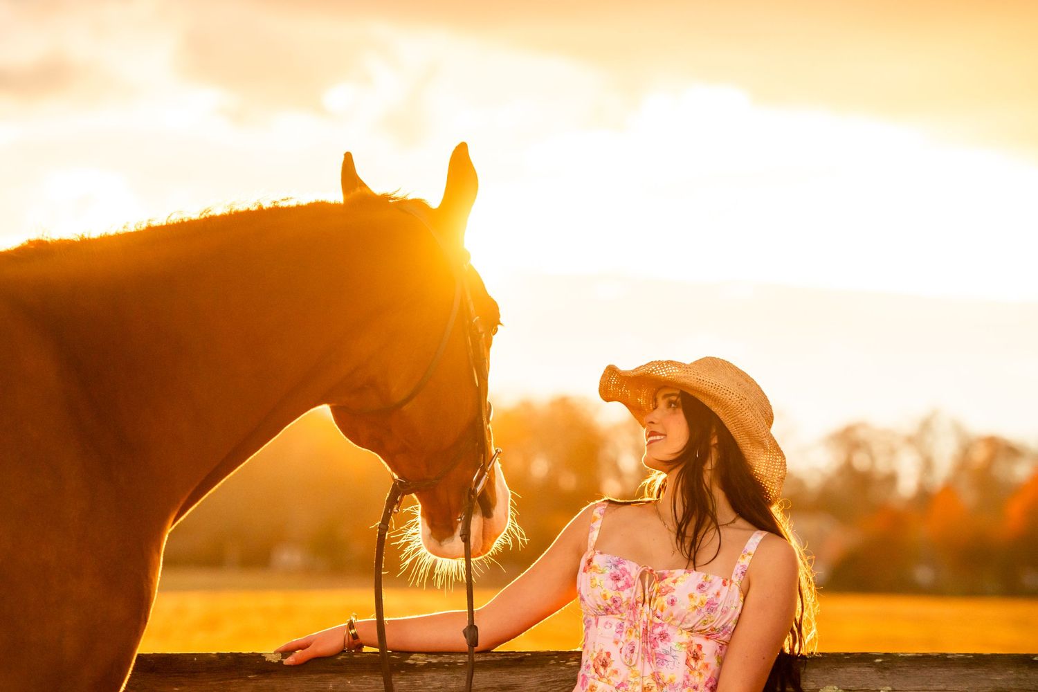 Beautiful chestnut horse and companion share tender moment in golden sunset light.
