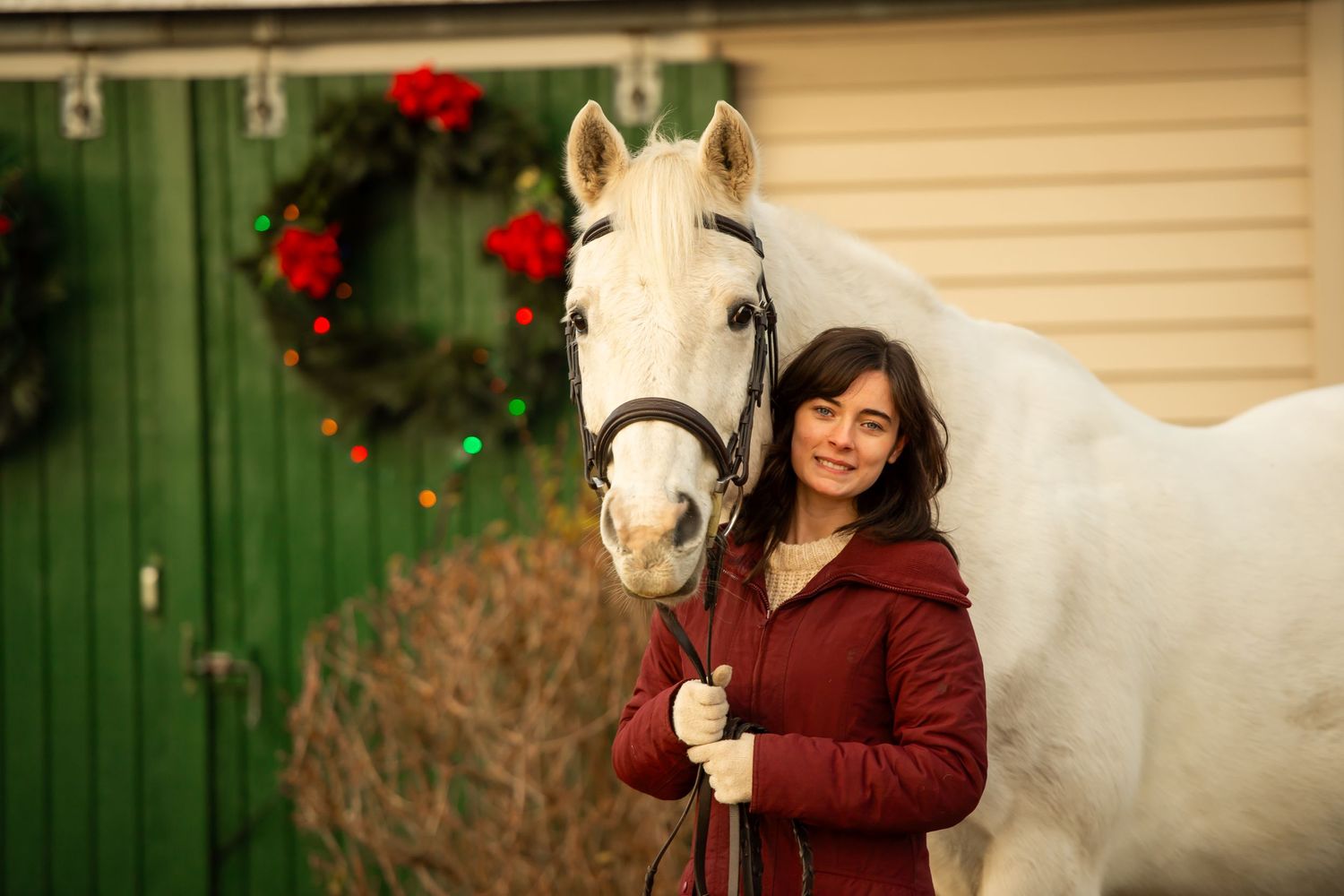A white horse poses with someone in front of a green door decorated with a Christmas wreath.