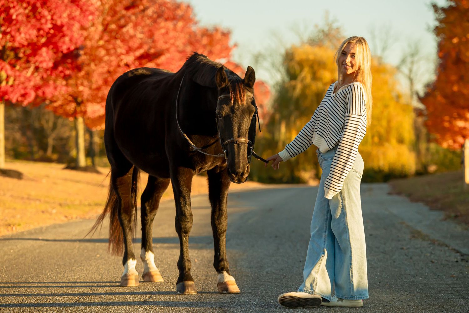 Black horse with white socks walks on path with companion amid fall foliage.
