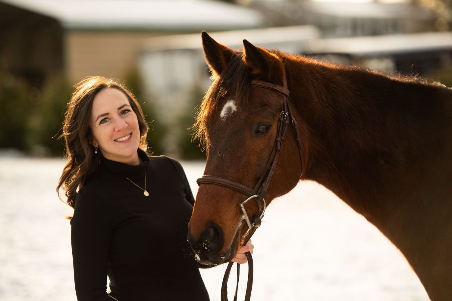 Bay horse and companion share tender moment in winter setting.