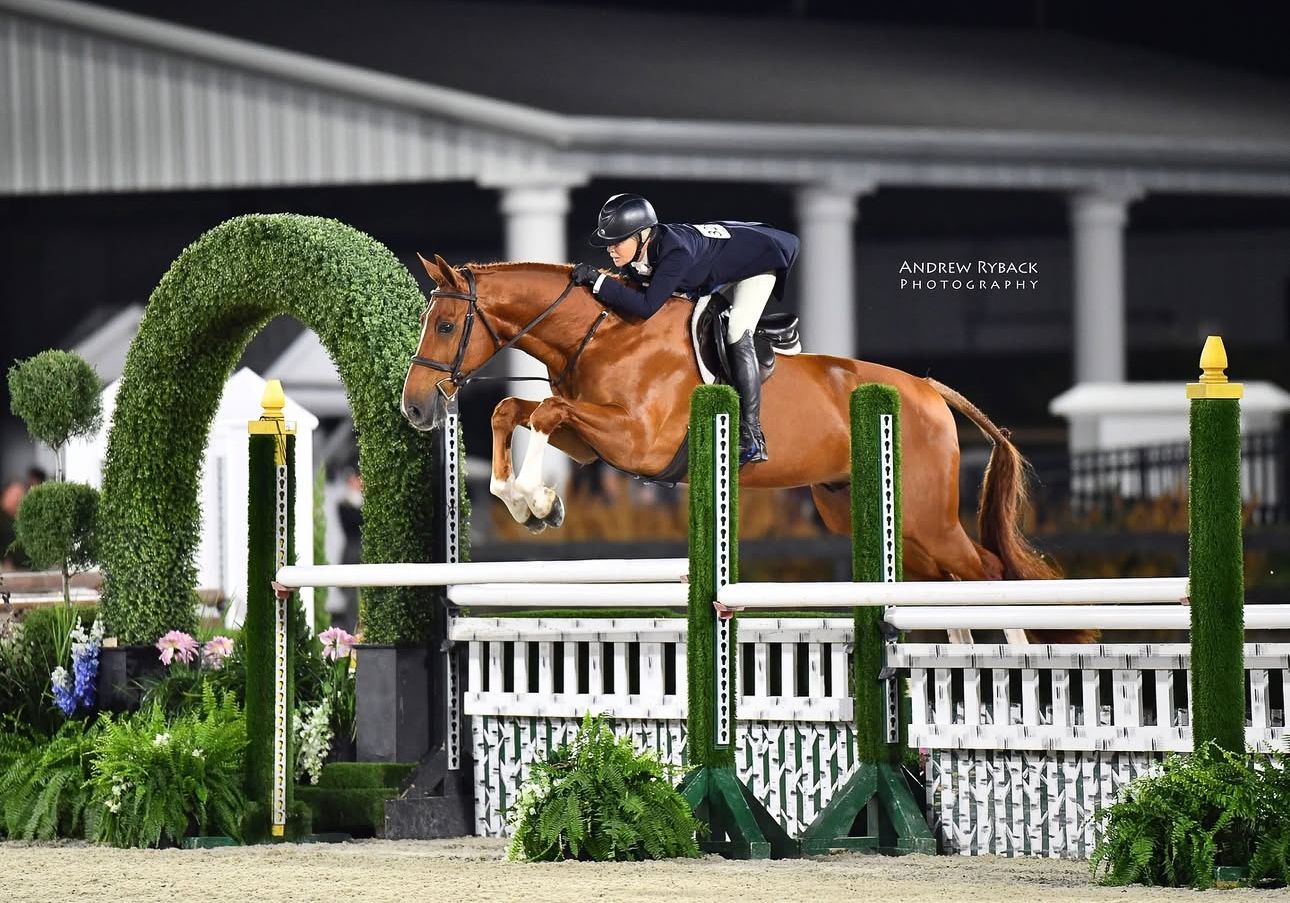 Show jumper clearing topiary arch obstacle during nighttime equestrian competition.