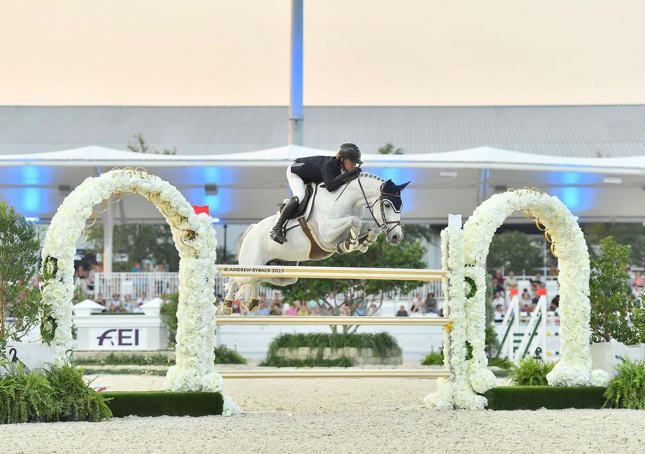 Show jumping horse and rider clearing a fence between two decorative white floral arches in competition.