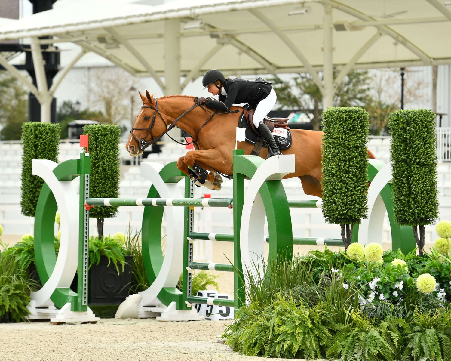 Horse and rider navigating decorative green and white jump obstacles during competition.