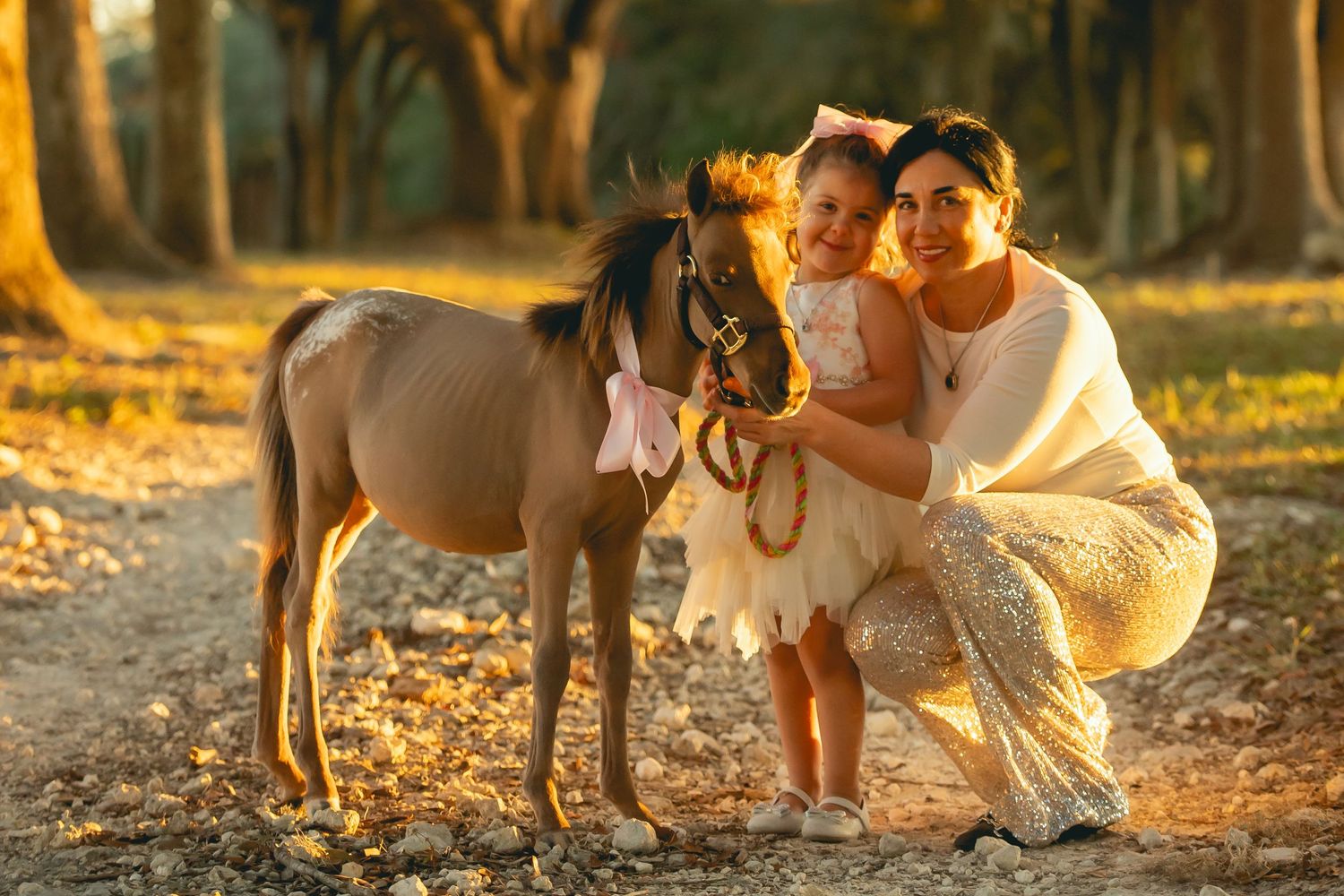 A miniature pony being petted in a sunlit wooded area during golden hour.