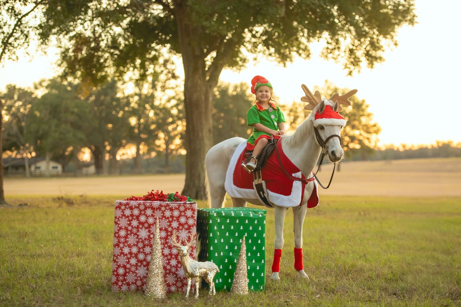 A white horse in Christmas attire stands next to wrapped presents during sunset.