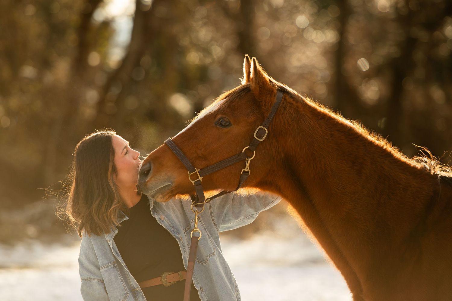 A tender moment between a chestnut horse and someone in a light denim jacket during golden hour.
