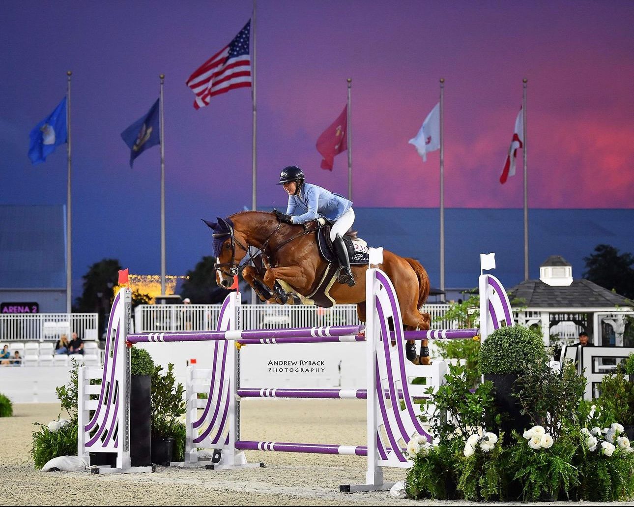 Show jumping competition at sunset with colorful flags flying against purple sky.