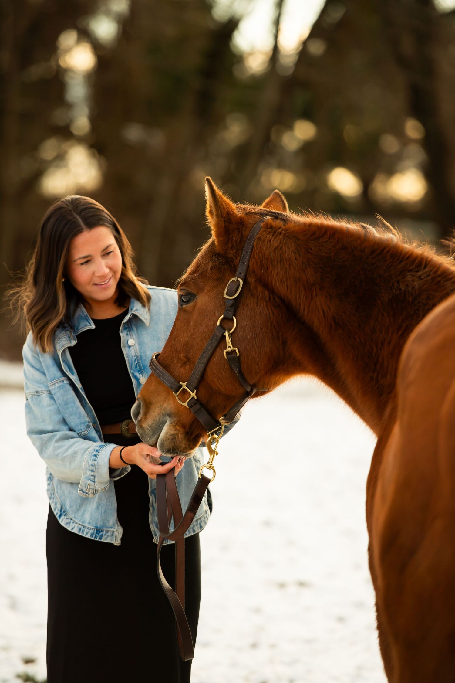 Someone in denim adjusts a chestnut horse's bridle in winter sunlight.