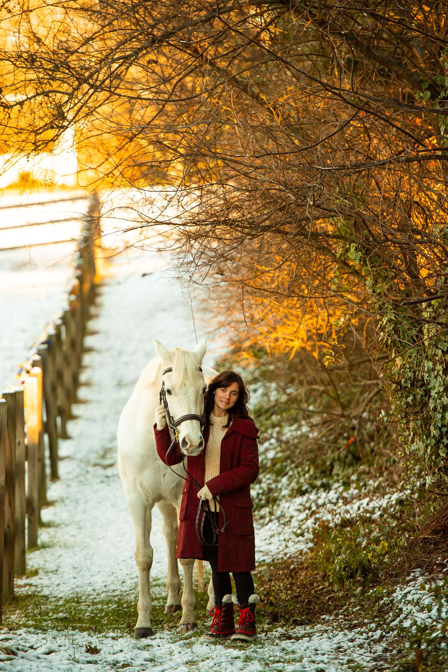 A white horse and person in red walk along a snowy fenced path under golden autumn trees.