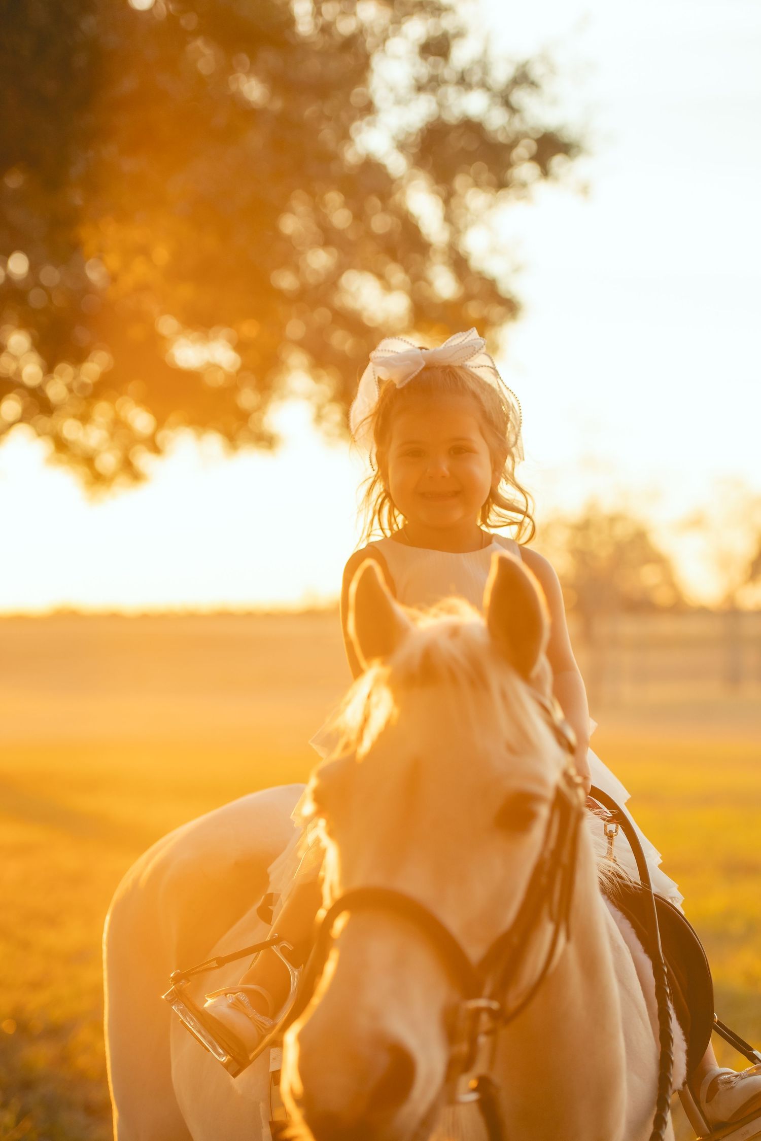 Young rider on white horse during golden sunset hour.