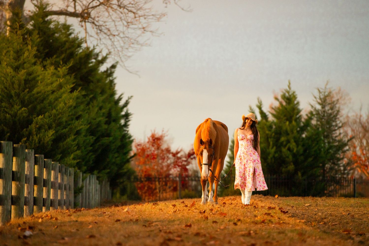 Dreamy golden sunset scene with horse and companion in flowing pink dress by wooden fence.