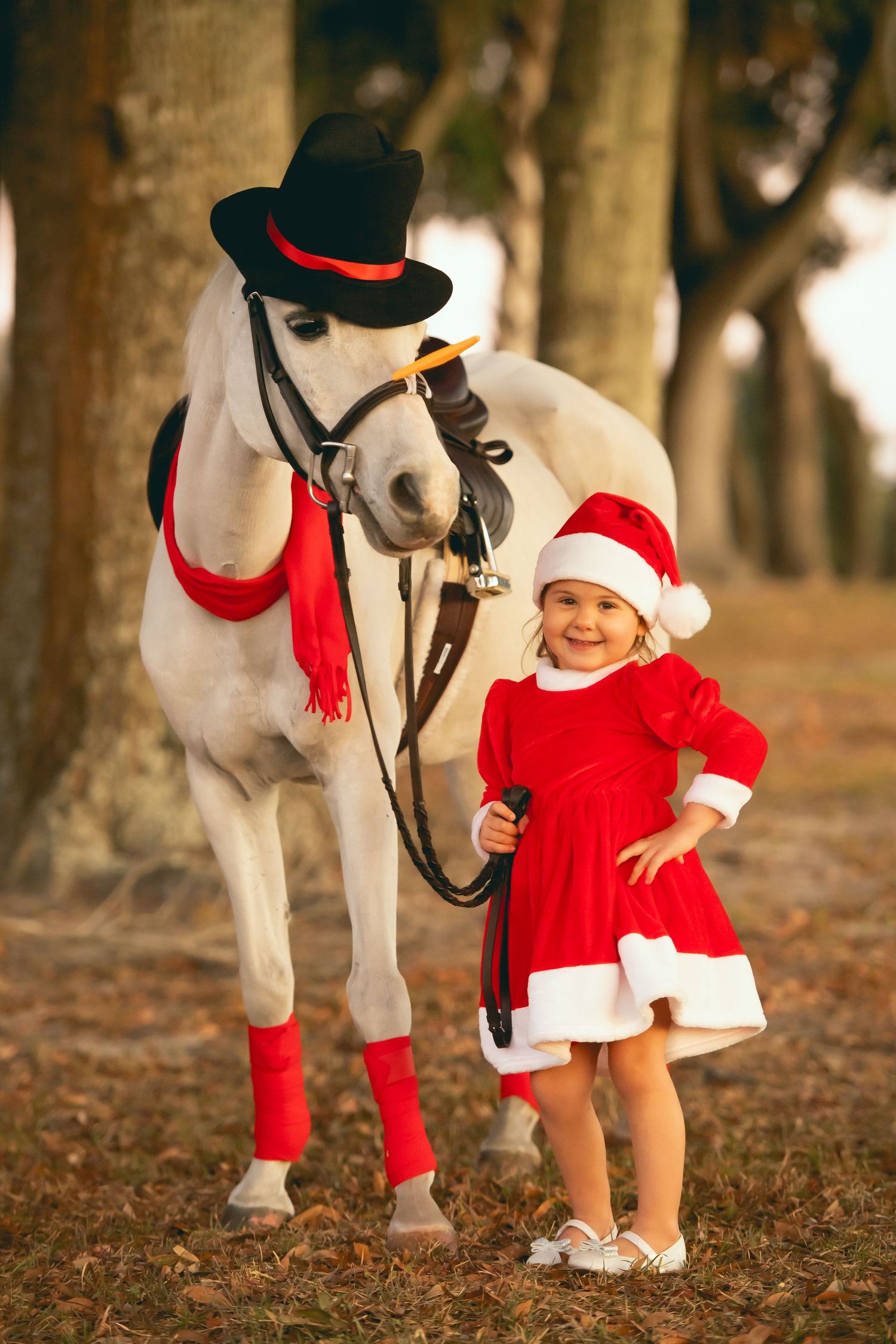 A white horse wearing a formal black hat and red scarf stands among trees at sunset.
