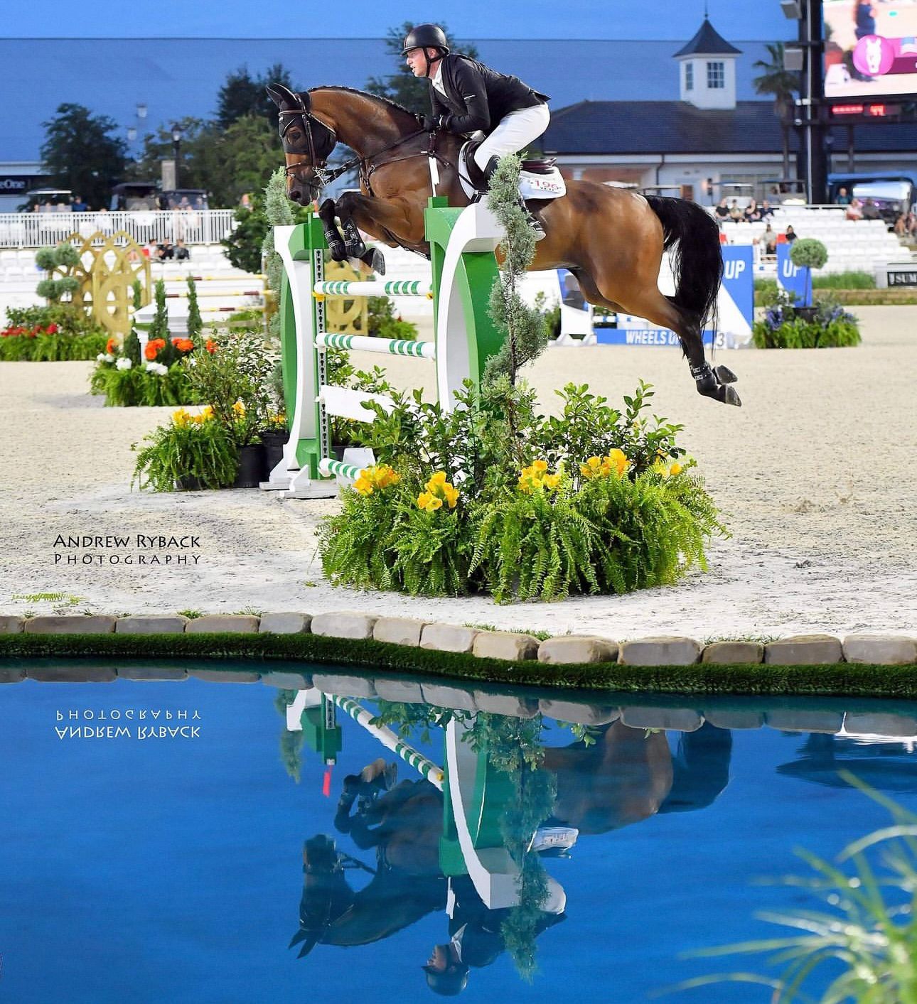 Horse and rider jumping over floral water obstacle with perfect reflection in competition arena.