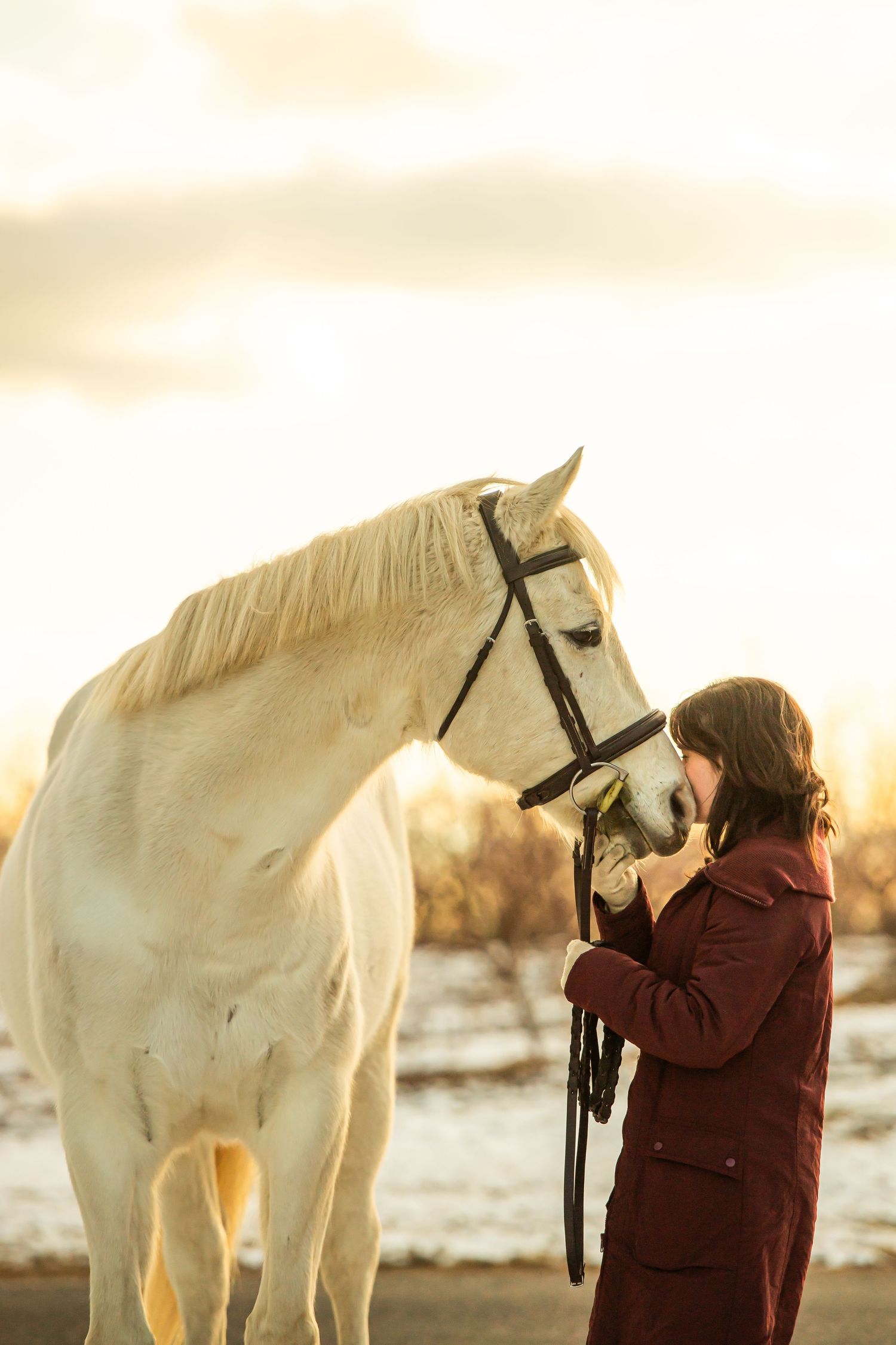 A tender moment between a white horse and someone in a burgundy winter coat at sunset.