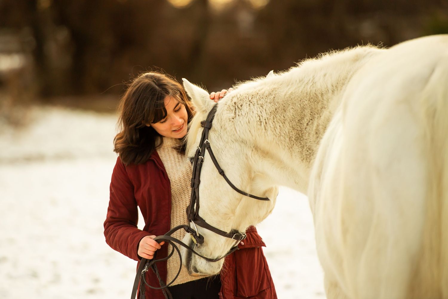 A gentle moment between a white horse and someone in a burgundy coat on a snowy winter day.
