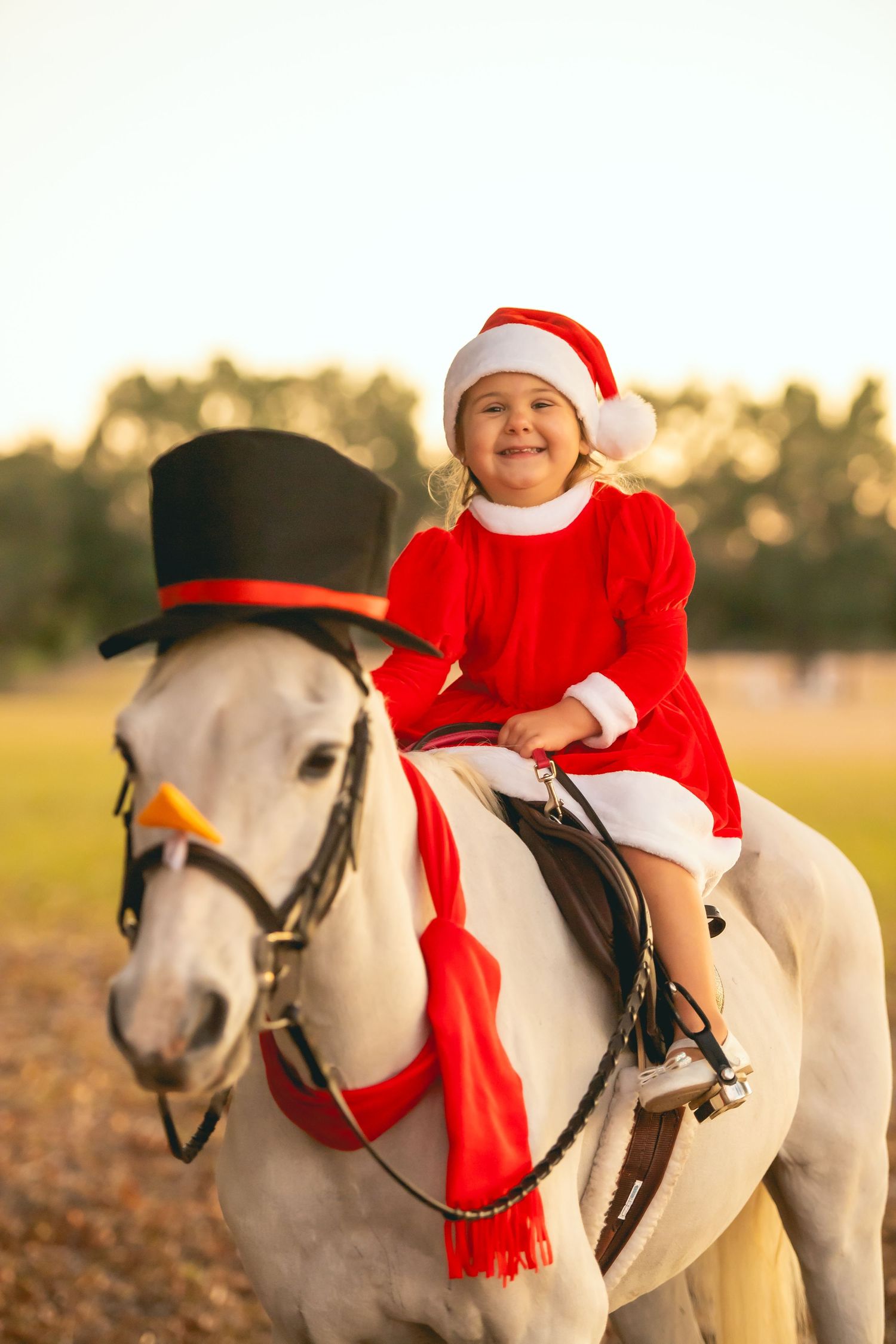 A white horse dressed in winter holiday attire with a black top hat in warm sunlight.