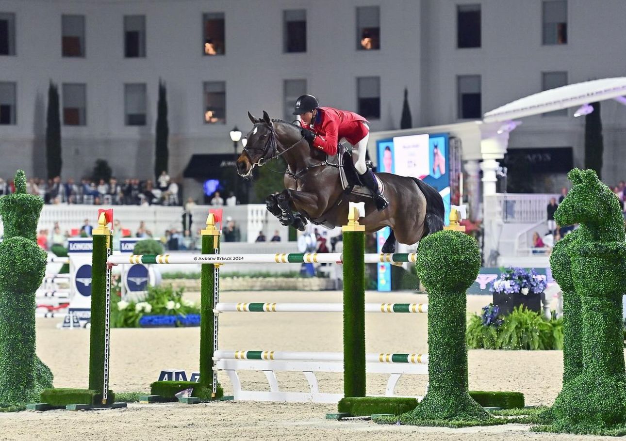 Show jumper clearing an obstacle during competition with decorative topiary in the foreground.