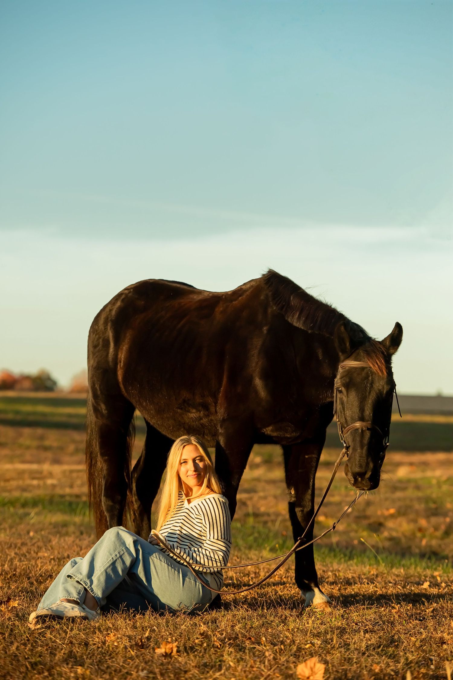 Dark horse stands in autumn field as companion sits on ground during sunset.