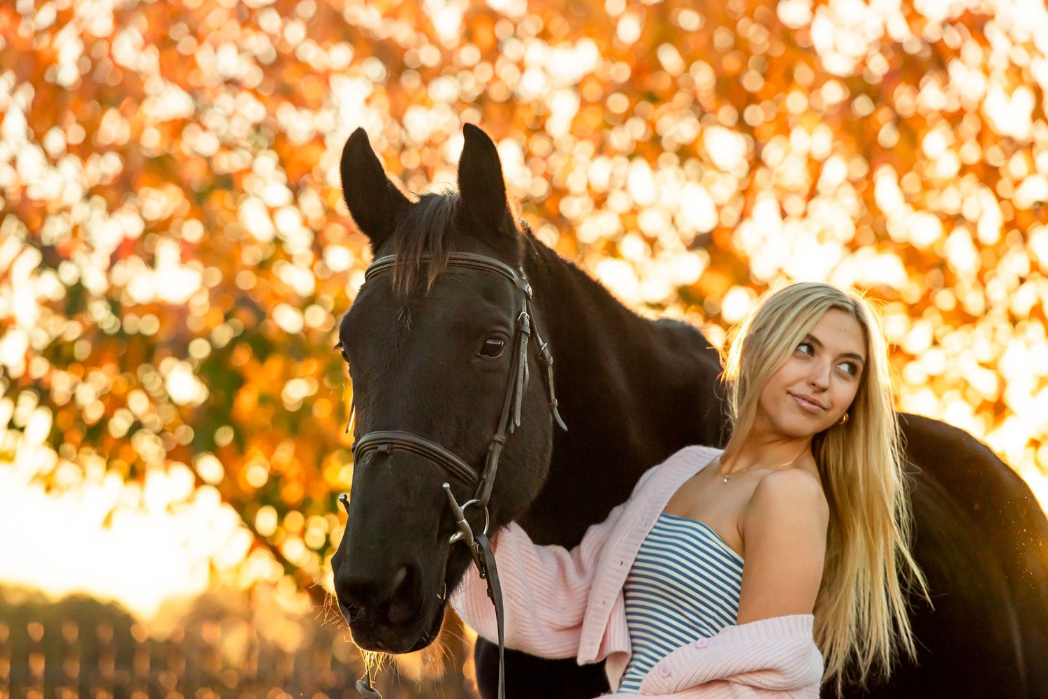 Black horse and companion pose against vibrant orange fall foliage at golden hour.