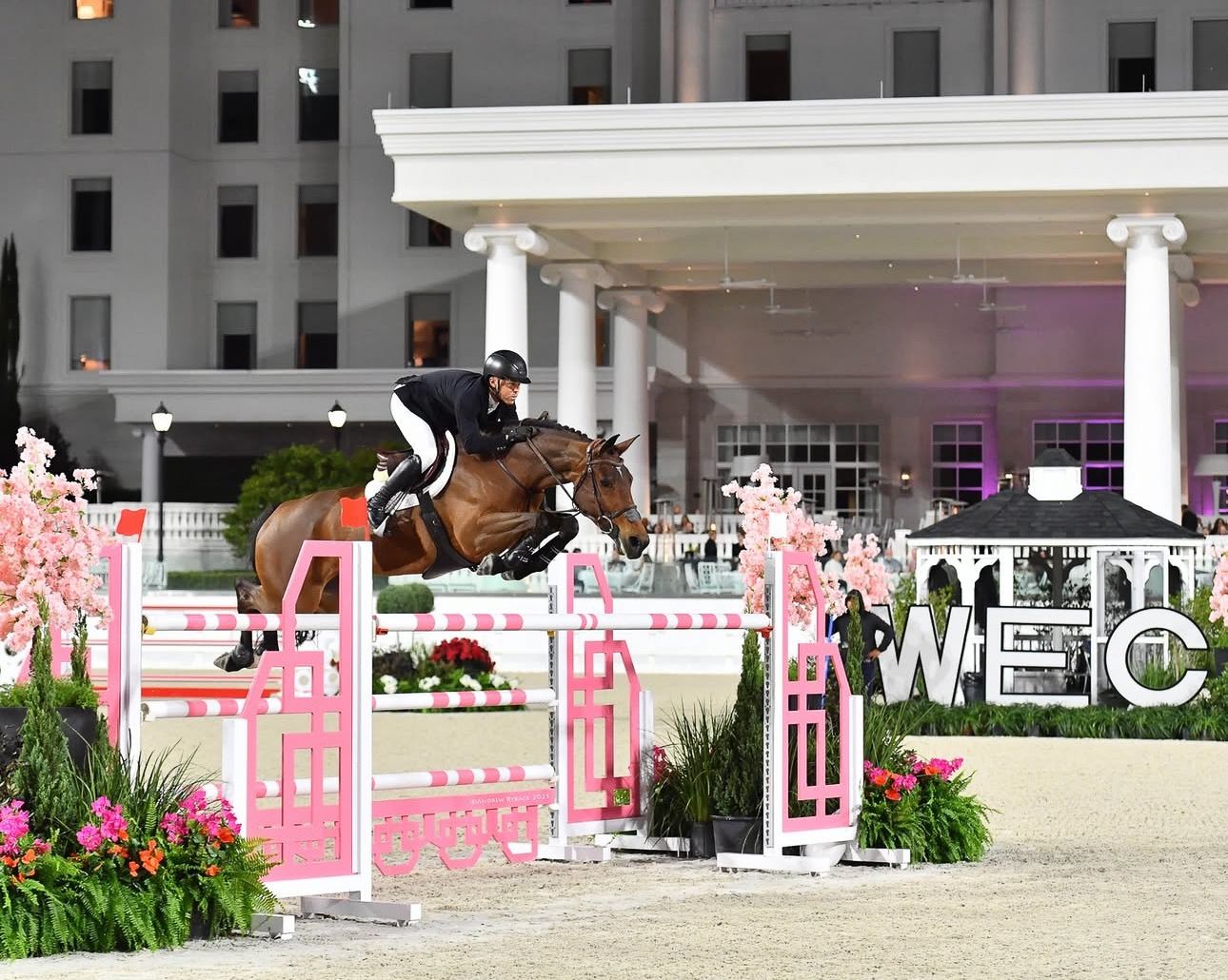Horse jumping over pink obstacles during nighttime competition with white columns in background.