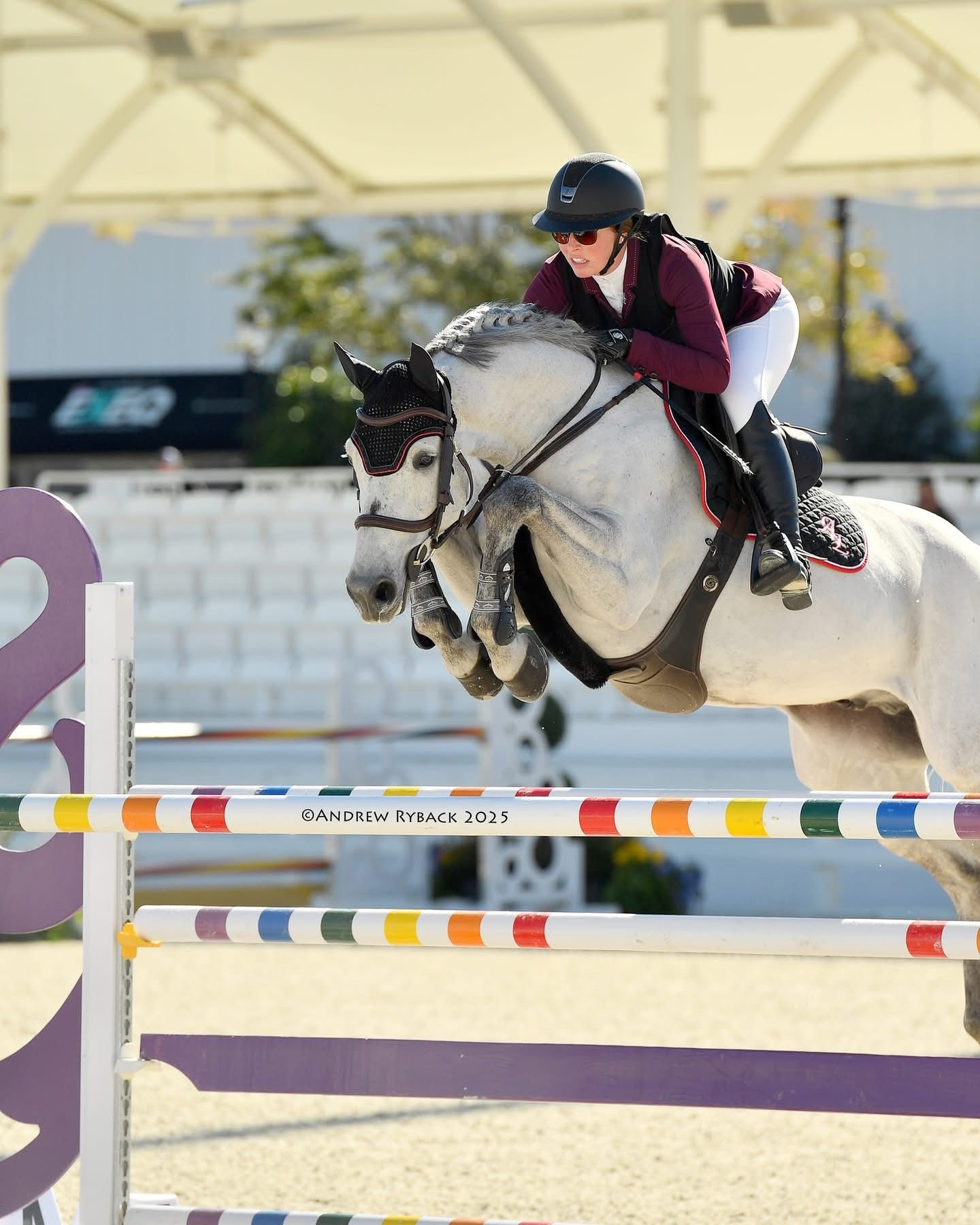 Grey horse and rider clearing colorful striped jump rails in competition arena.