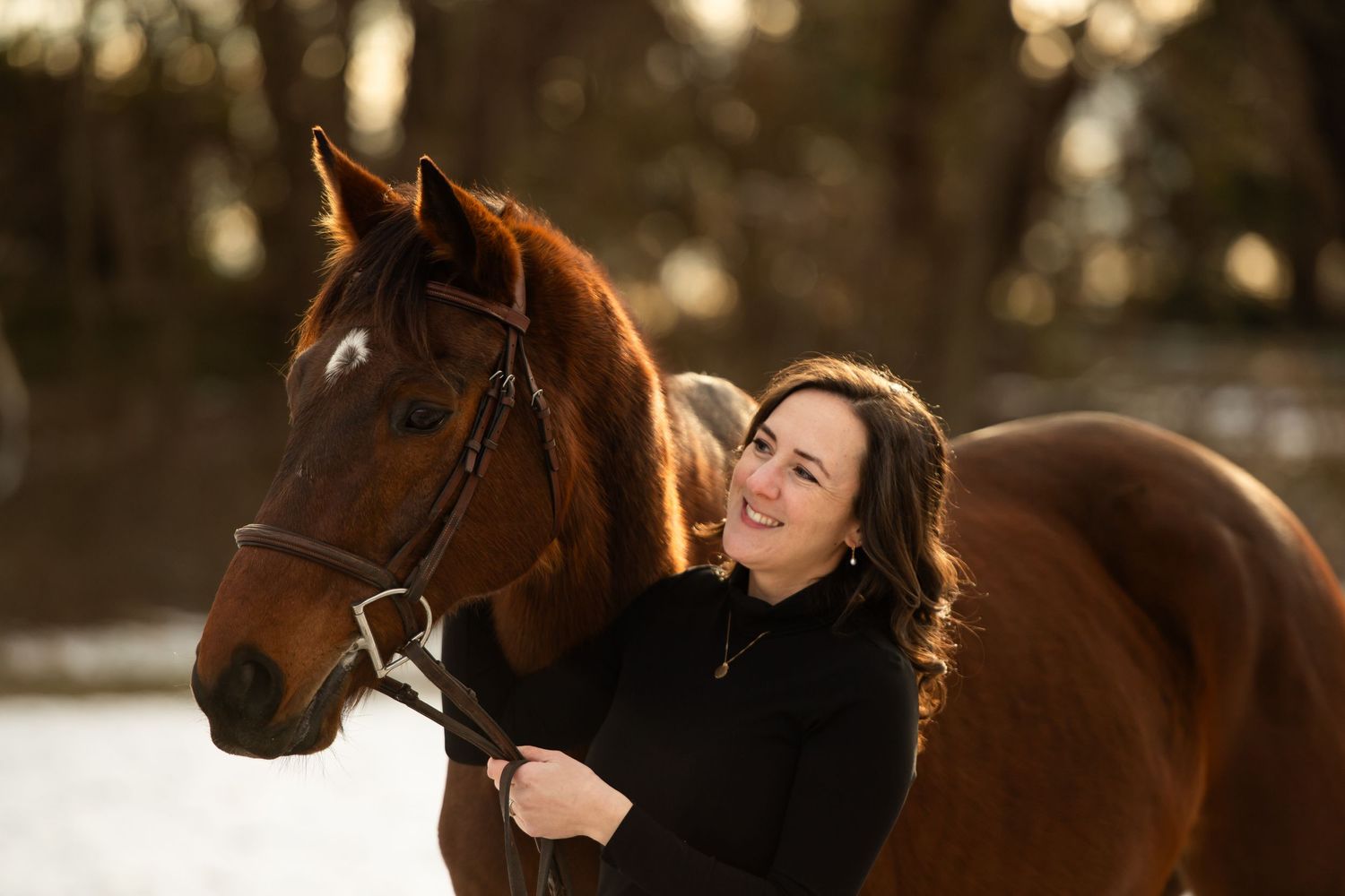 Joyful interaction between bay horse and companion on winter day.