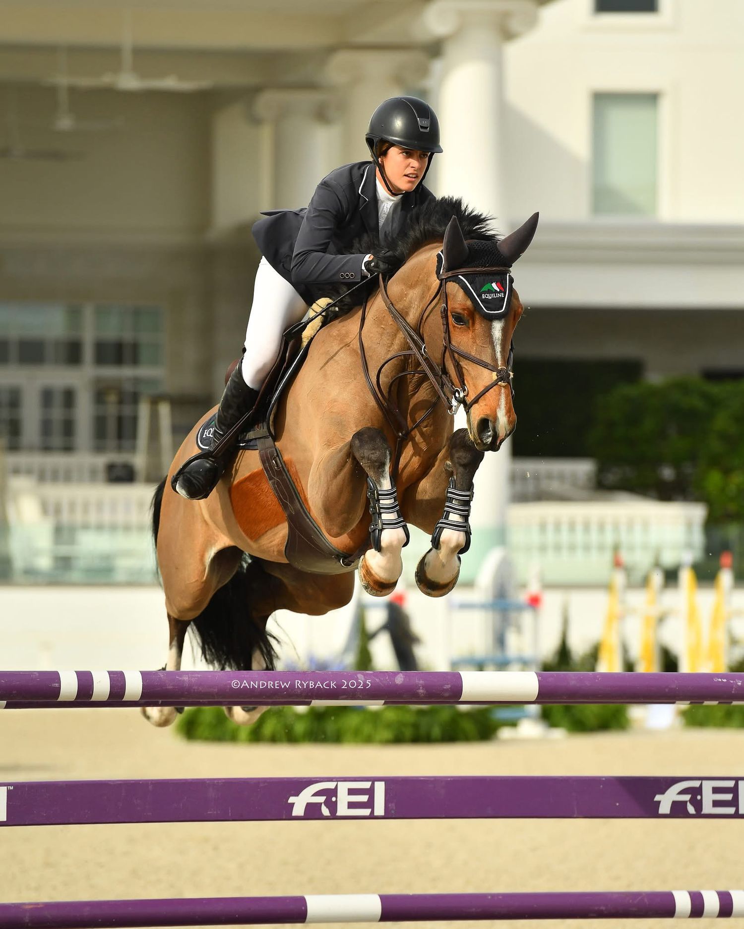 Show jumper clearing purple FEI-branded obstacle during professional equestrian competition.