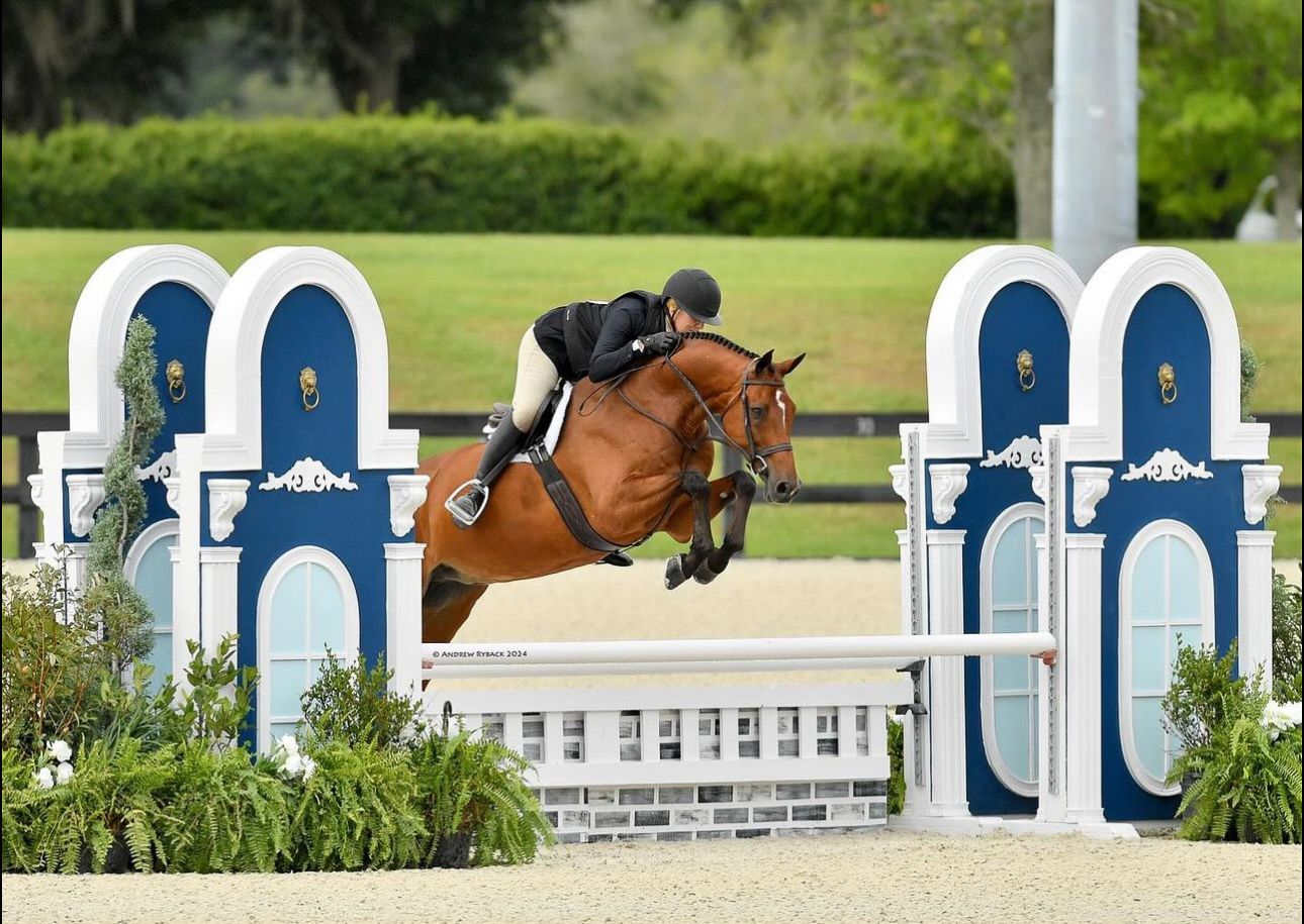 Horse and rider jumping over white and blue decorative obstacle during daytime competition.
